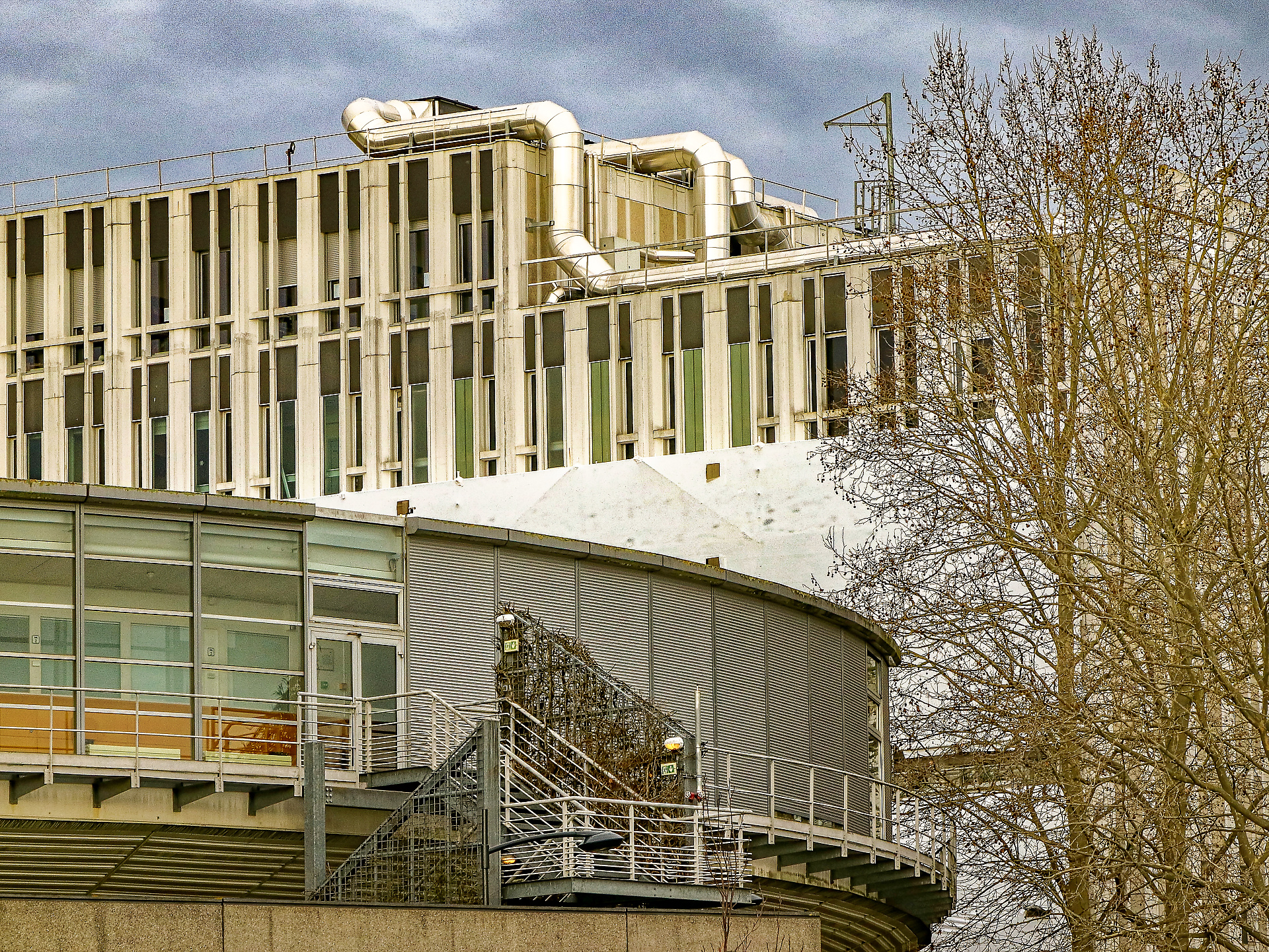 Dominique - CHU Angers détail