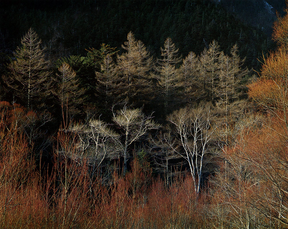 2_shinzo-maeda (2)