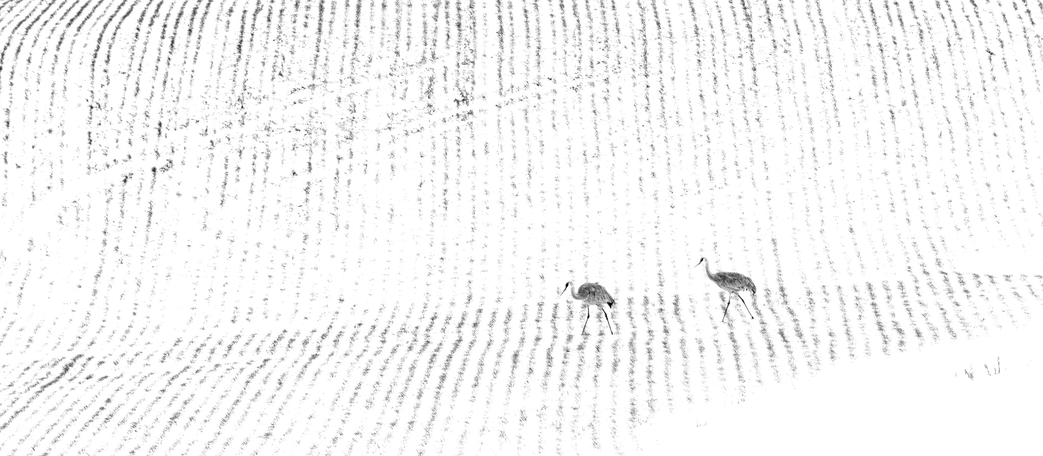 3_LARRY-MONCZKA (9)