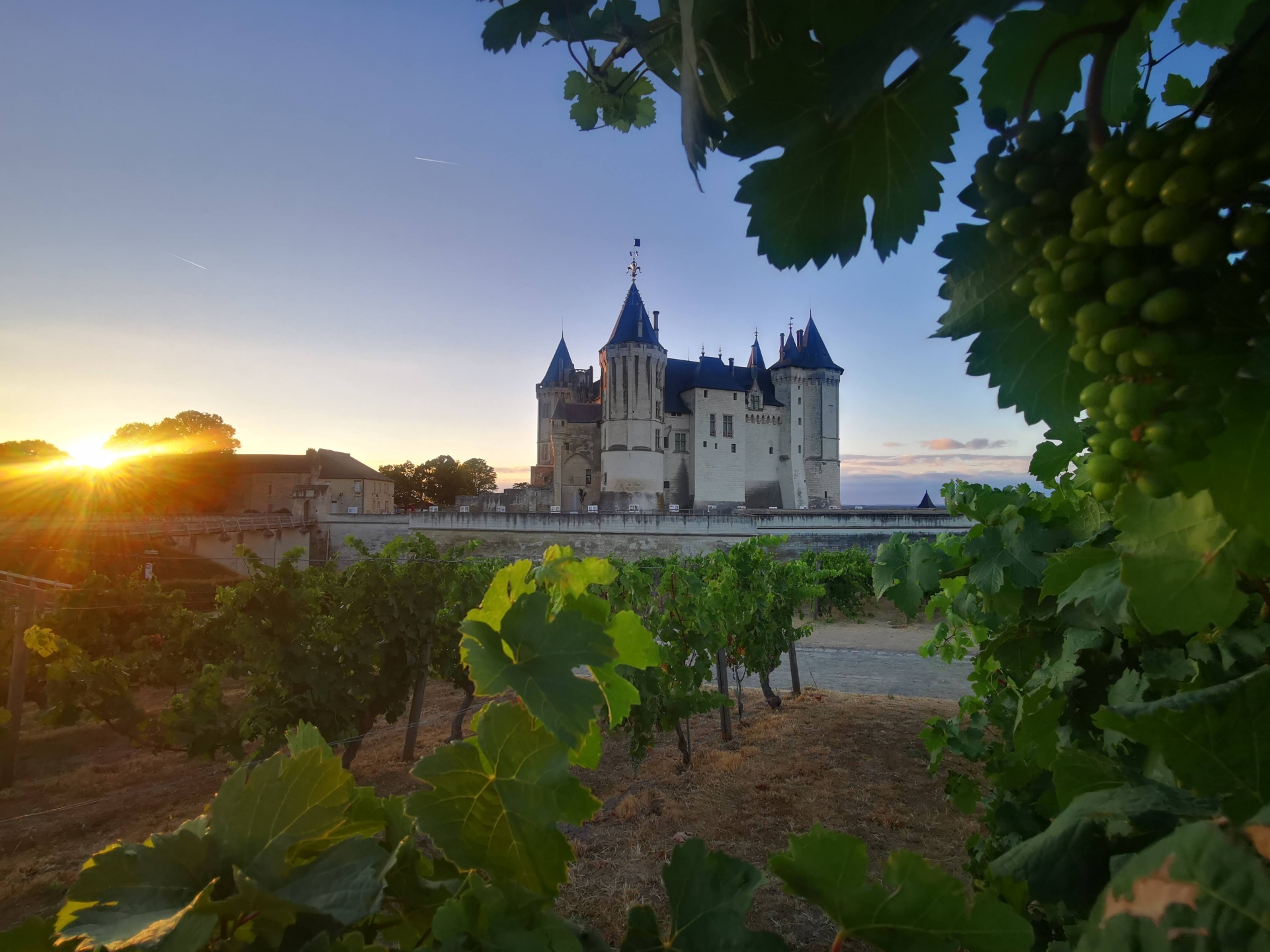 Alexia - Saumur