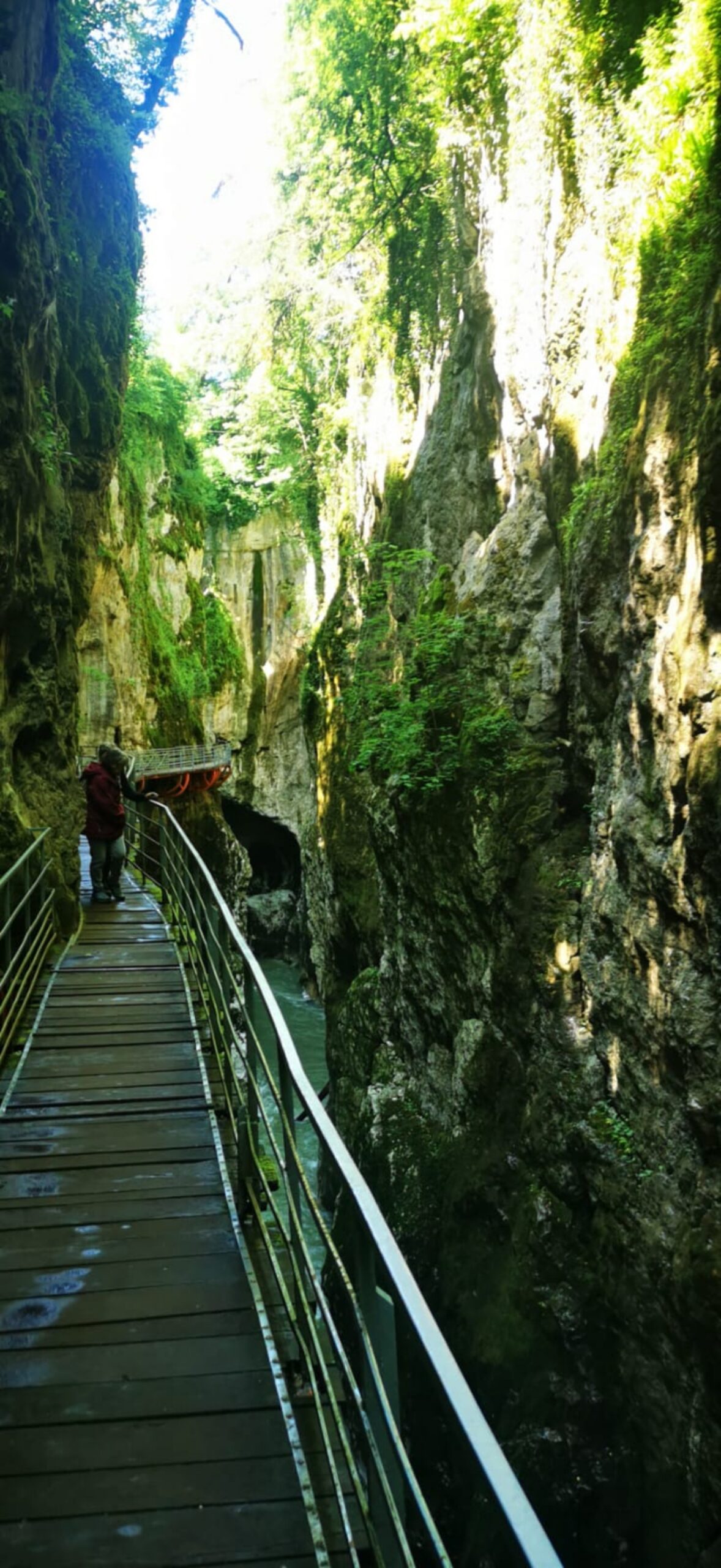 Alexia - gorges du Fier