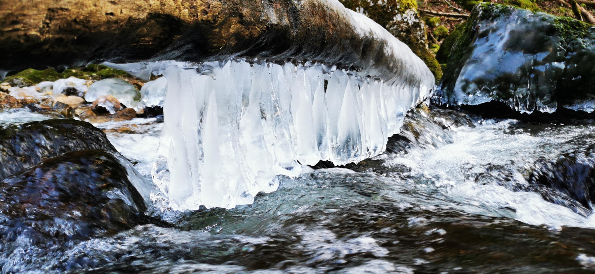 Alexia - joie du photographe face au retour de l'hiver