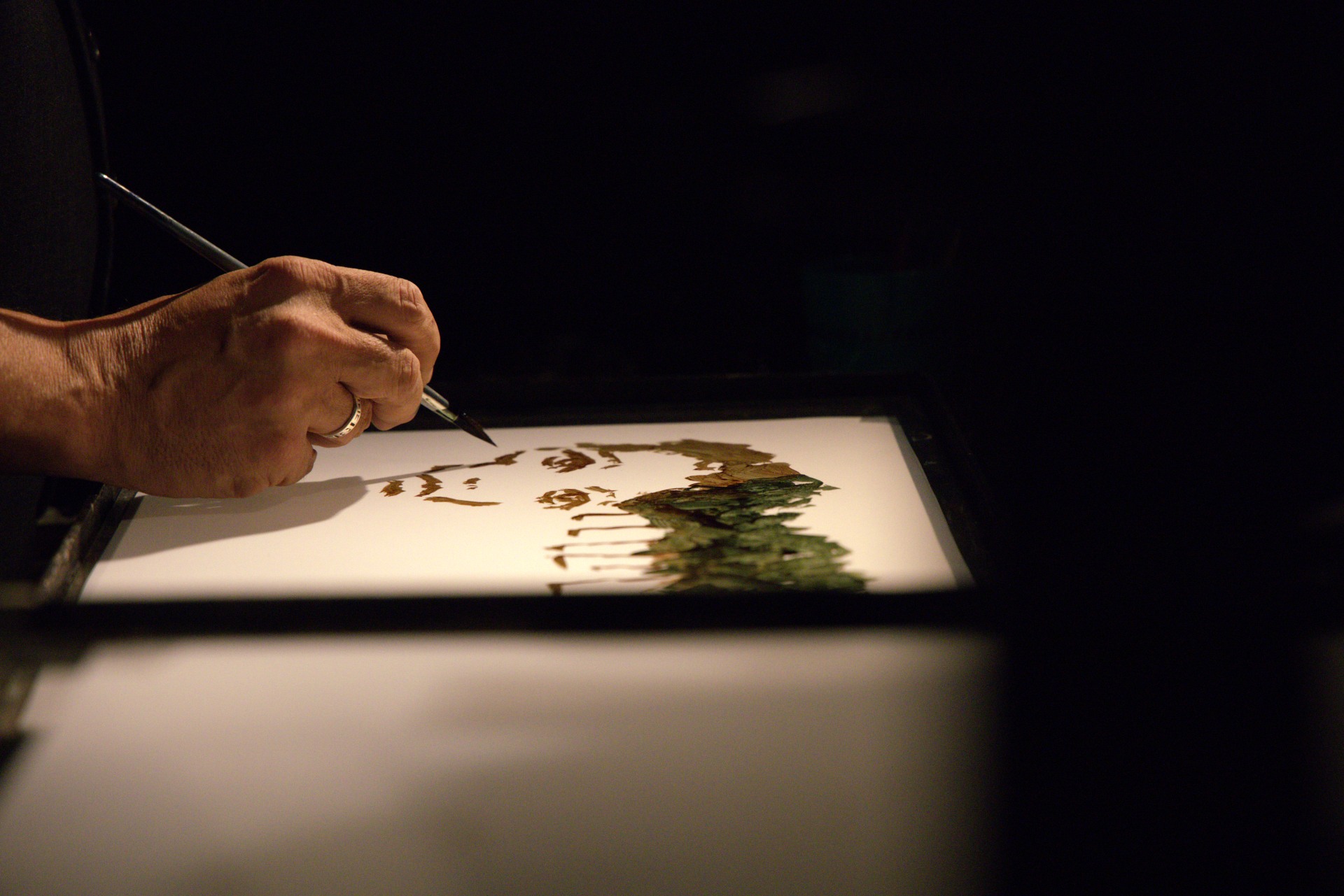 Alexia - nuits des lumières 4