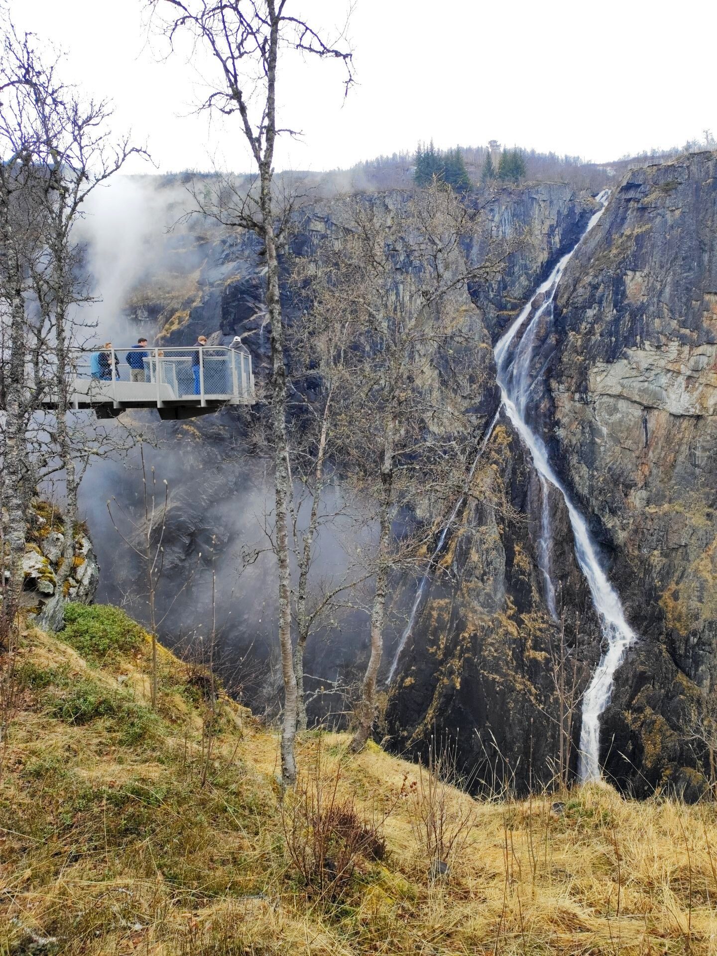Beatrice - Belvédère de Vøringfossen