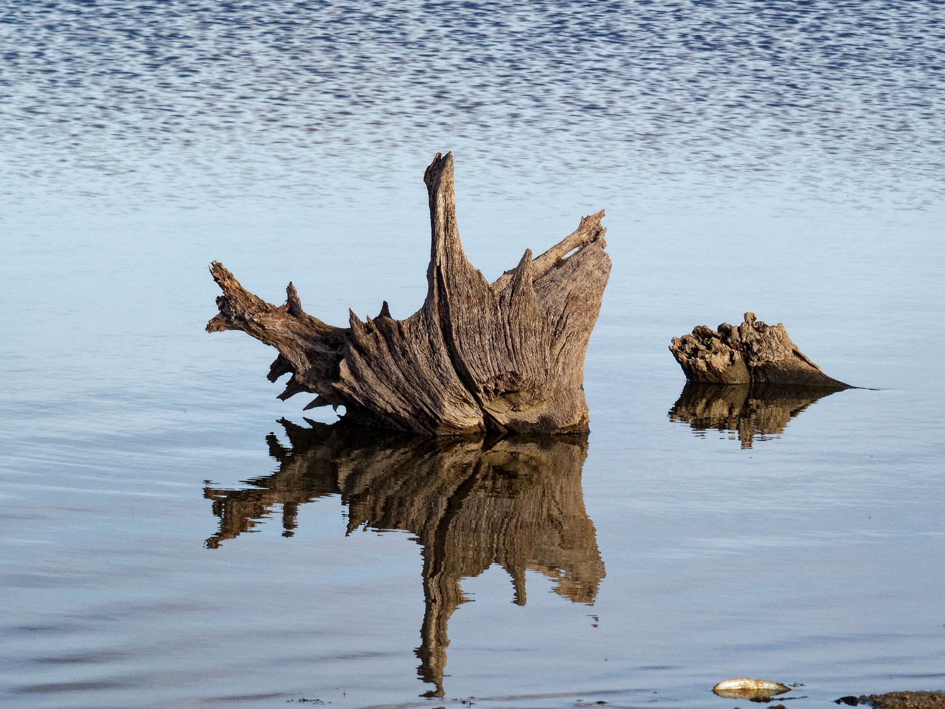 Catherine - Effet papillon