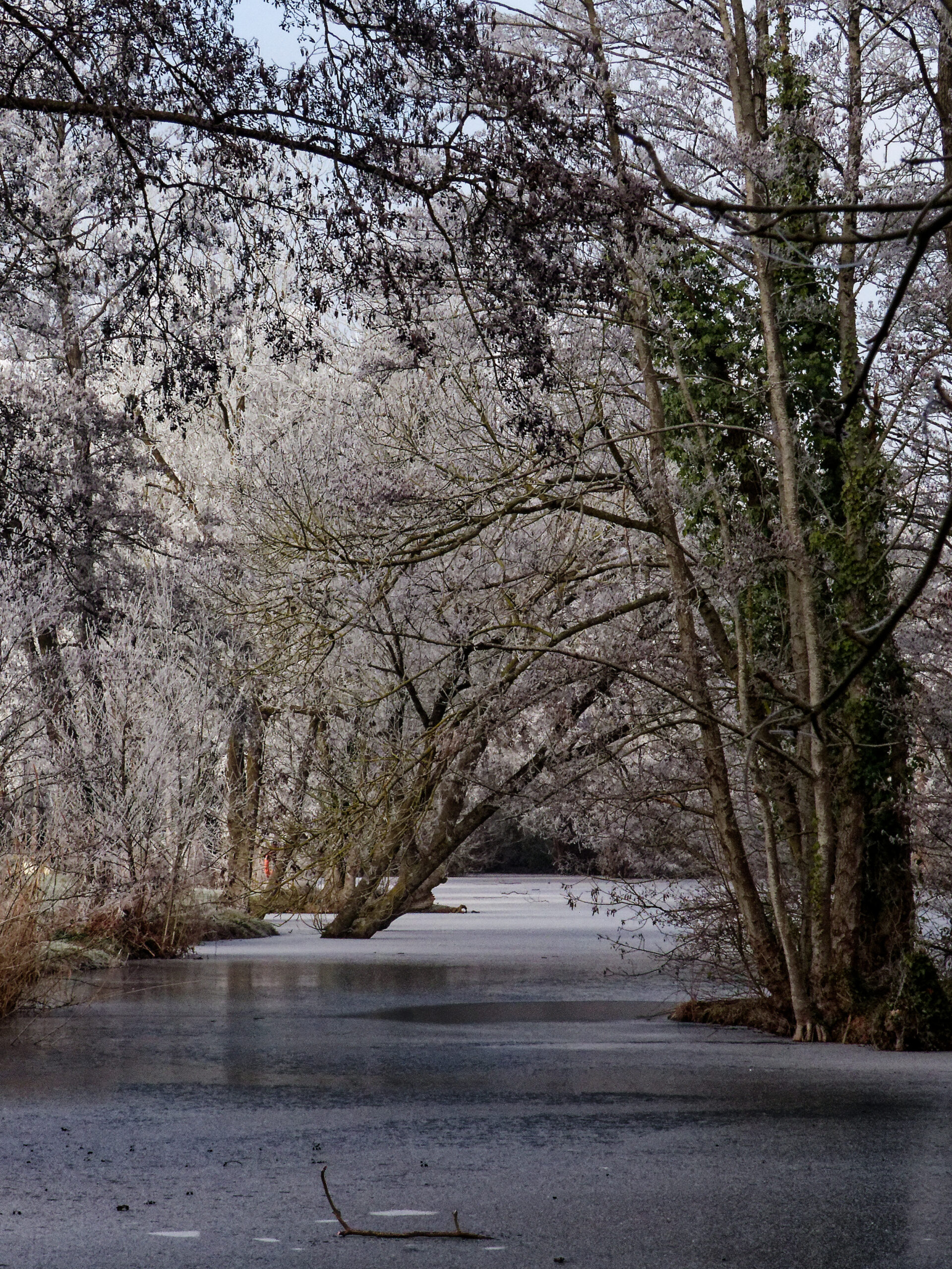 Catherine - L_étang par tous les temps