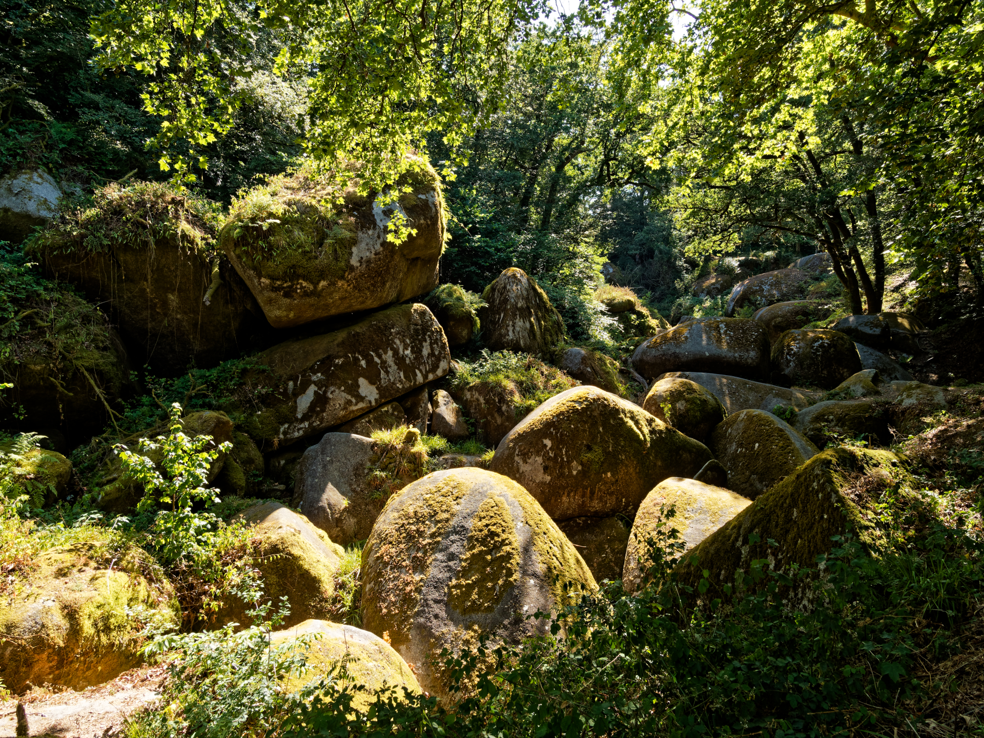 Catherine - La forêt d Huelgoat