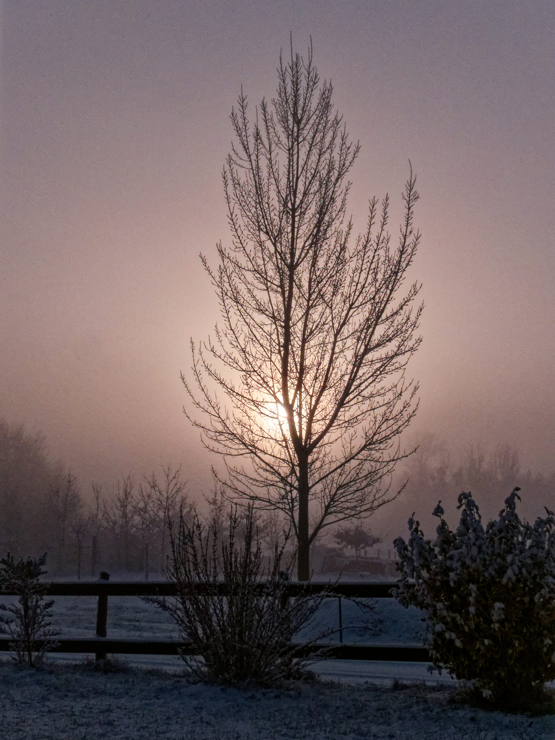 Catherine - Lumière sur la nature décharnée