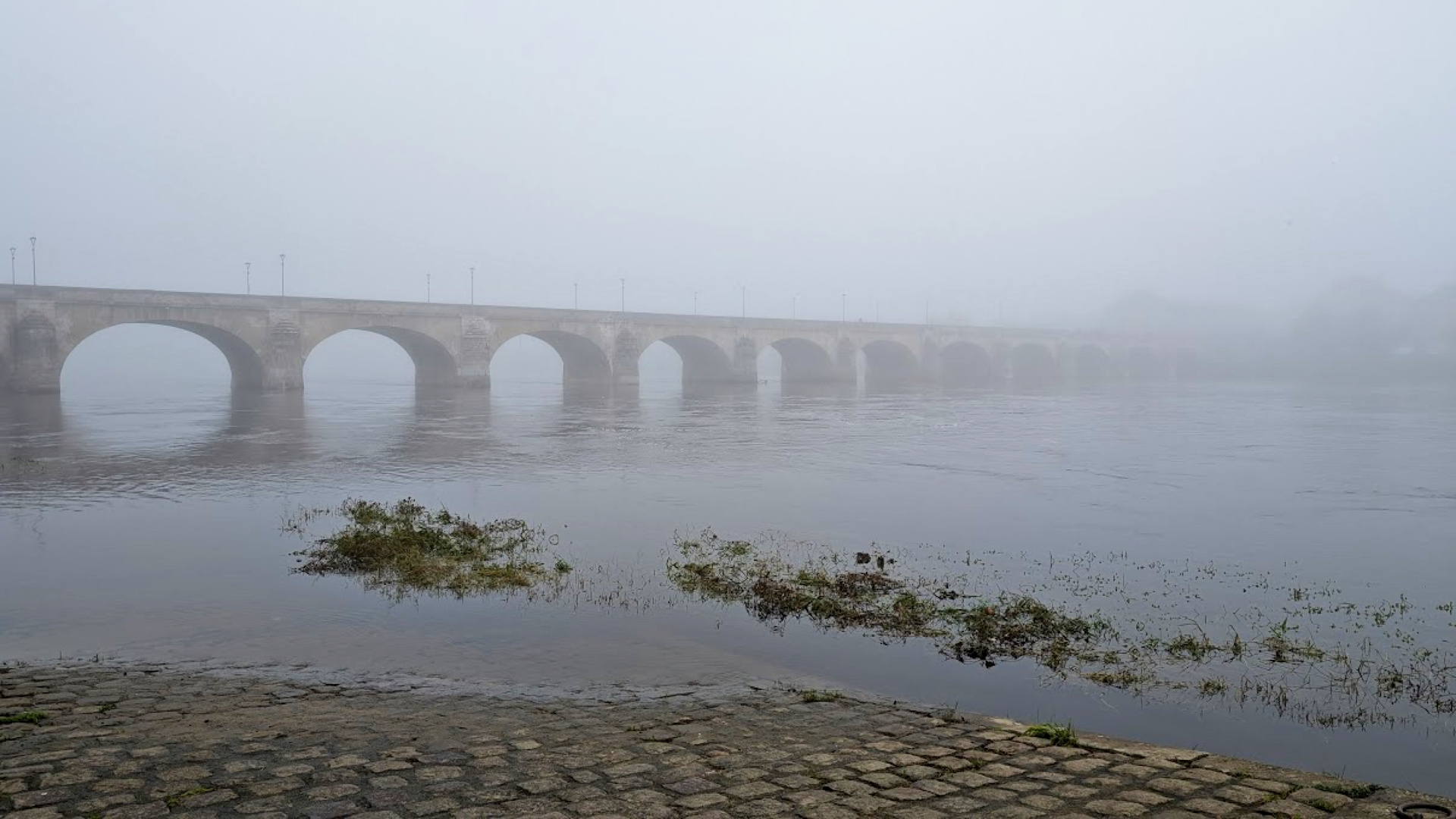 Catherine - Saumur dans la brume matinale