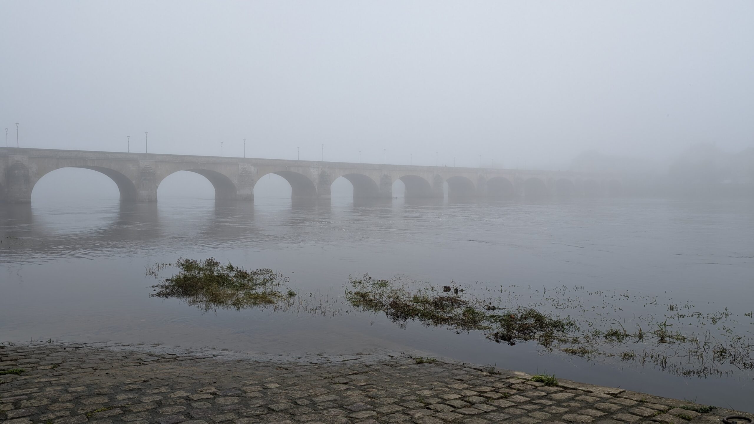 Catherine - Saumur_pont_sur_la_Loire
