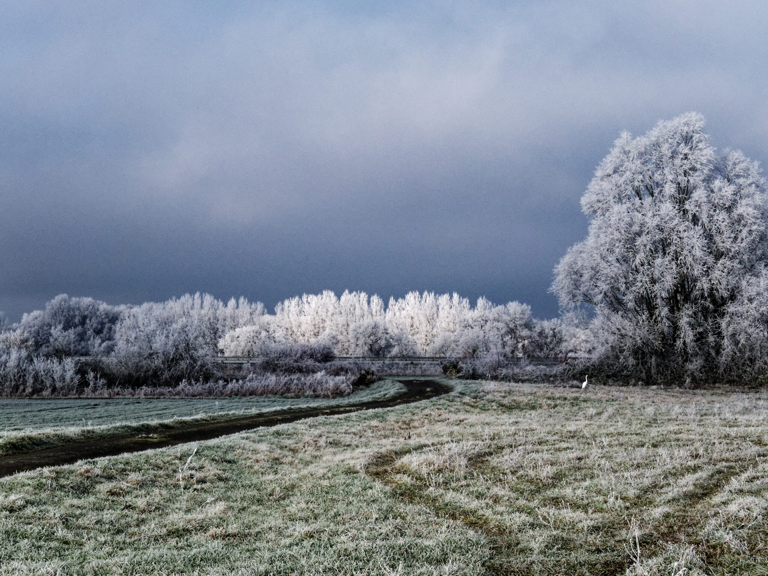 Catherine - Toute vêtue de blanc