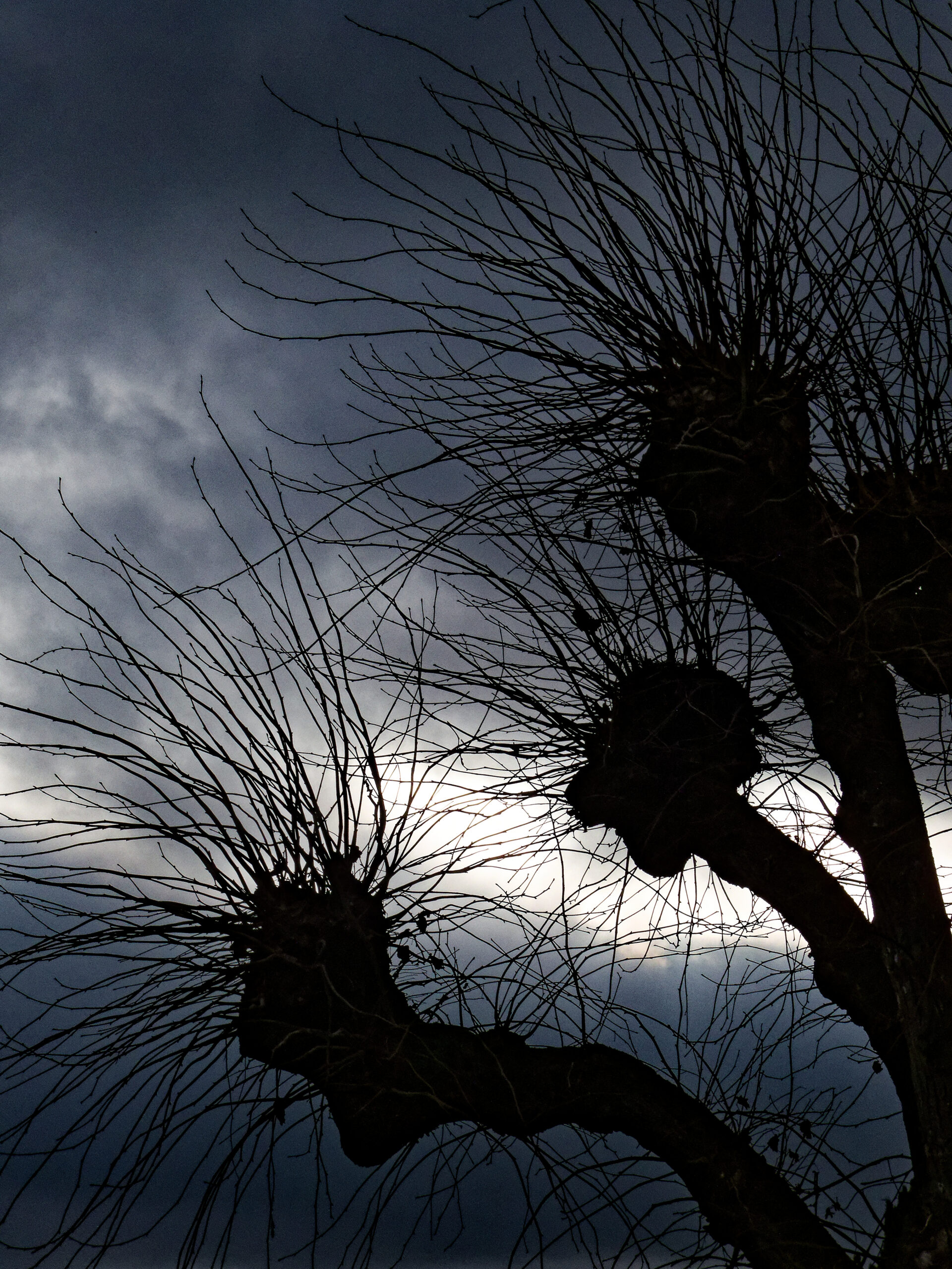 Catherine - de jour à contre jour