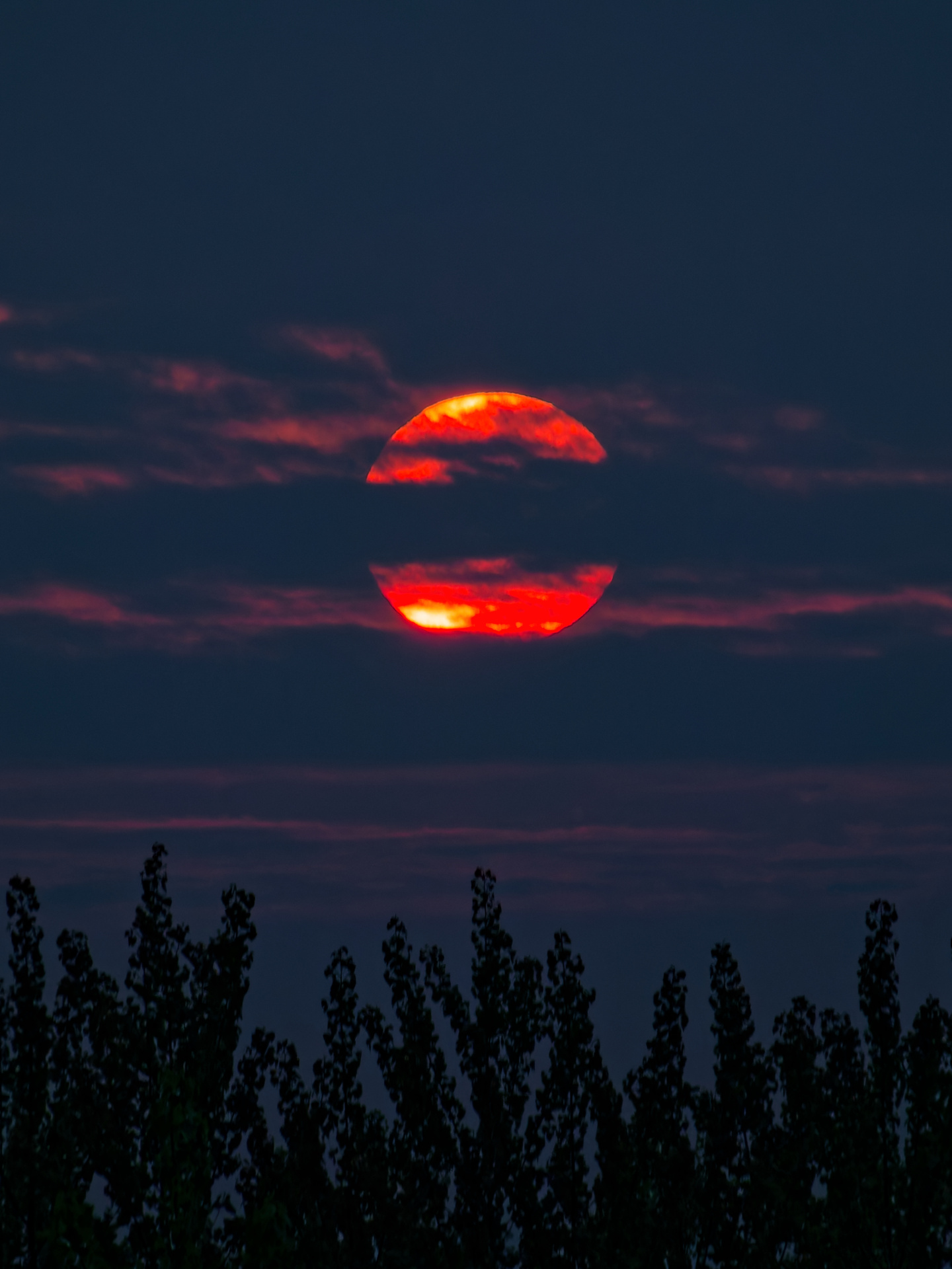 Catherine - l astre de feu