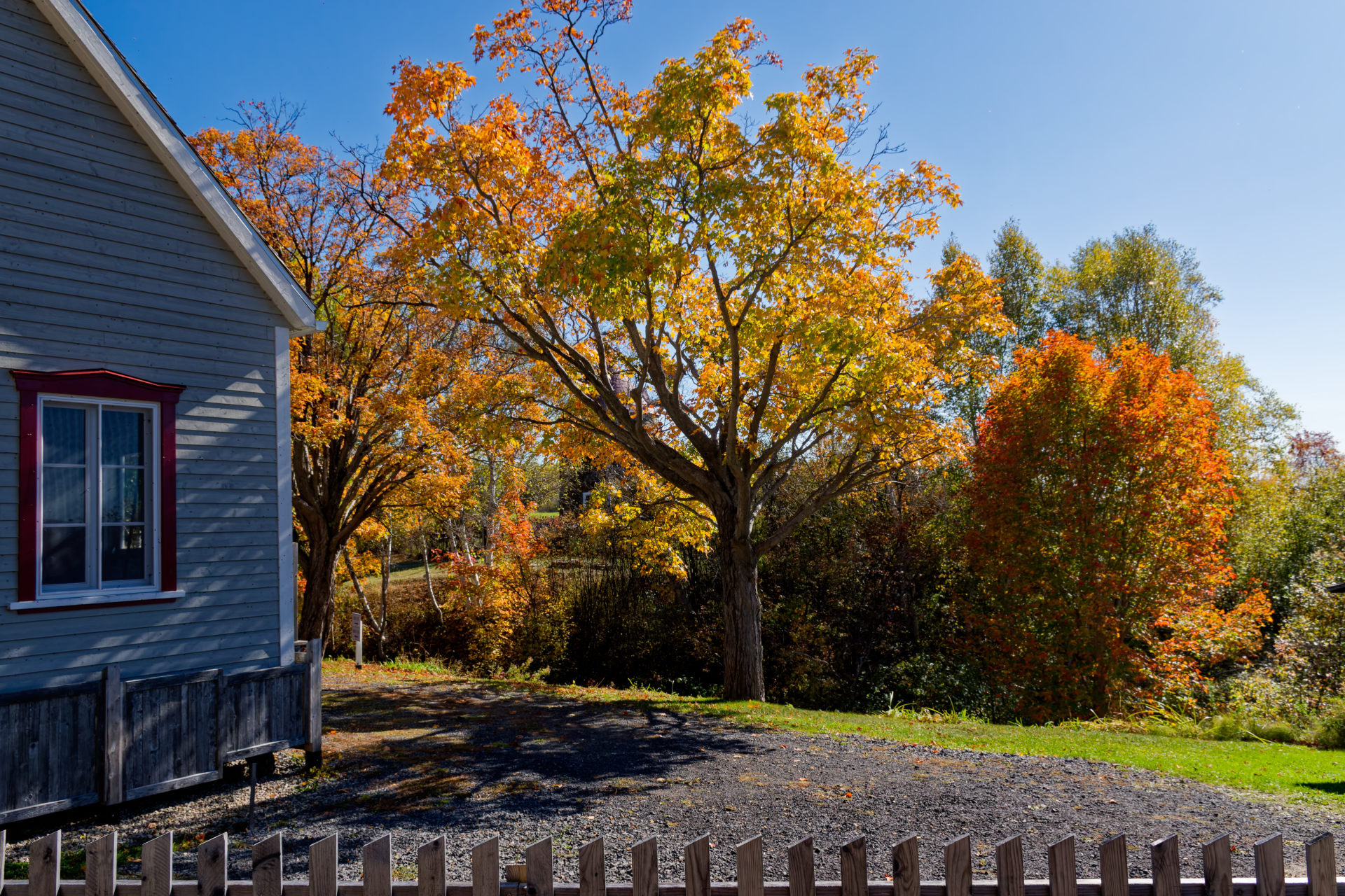 SERGE_QUEBEC DE JAUNE ET D OCRE