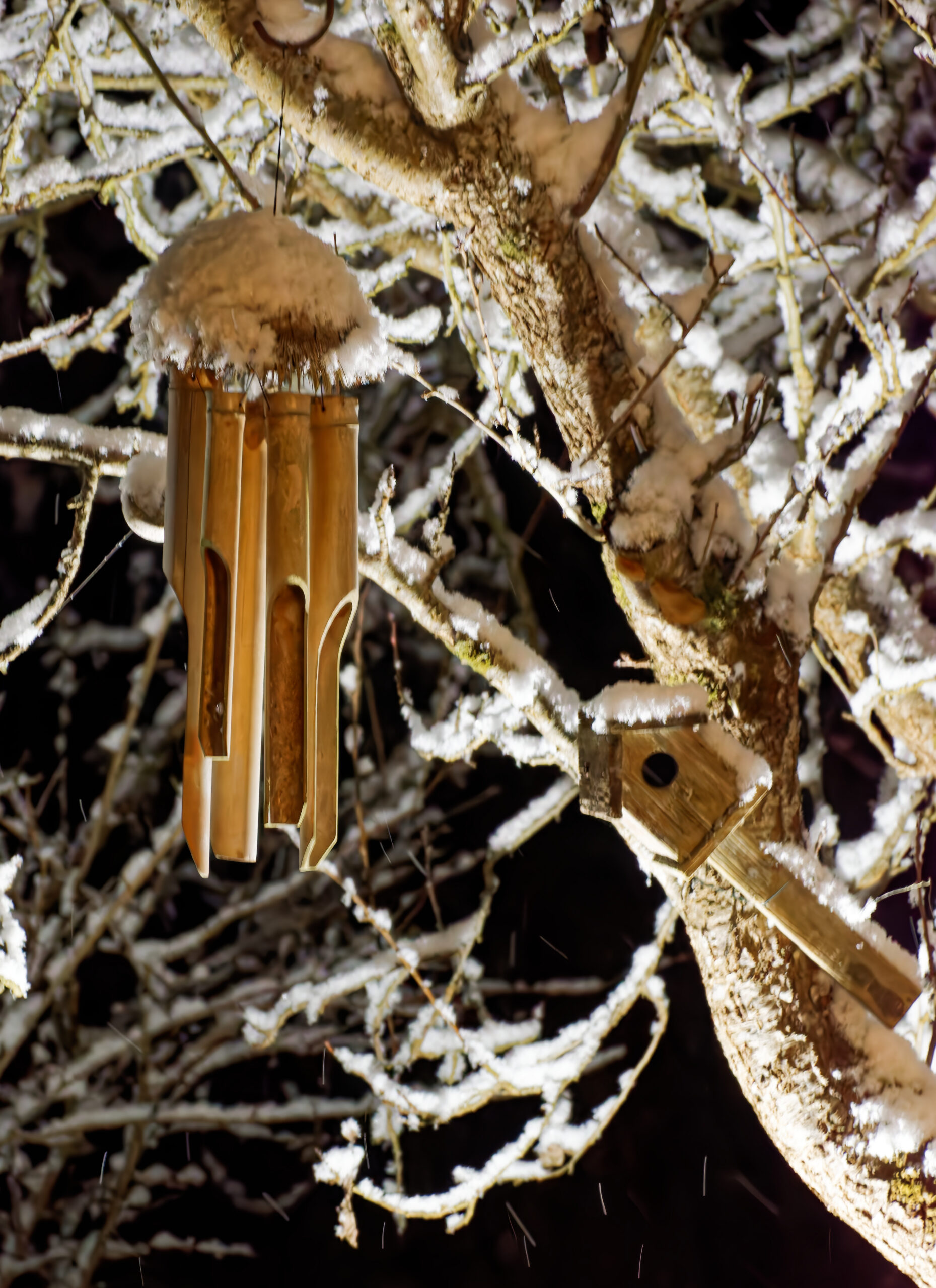 SERGIO - Flute de Pan glacée