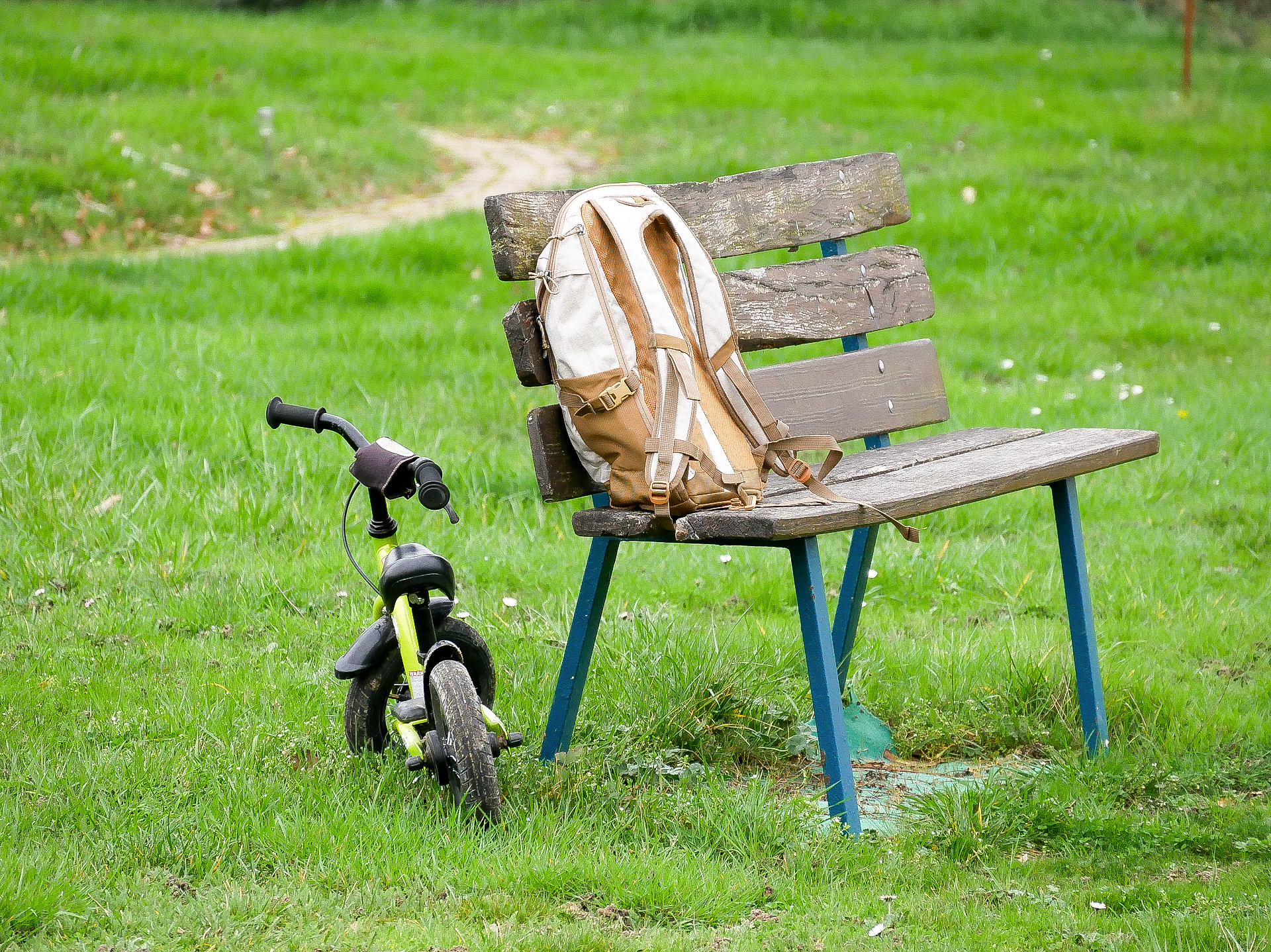 Dominique-Abandonnés