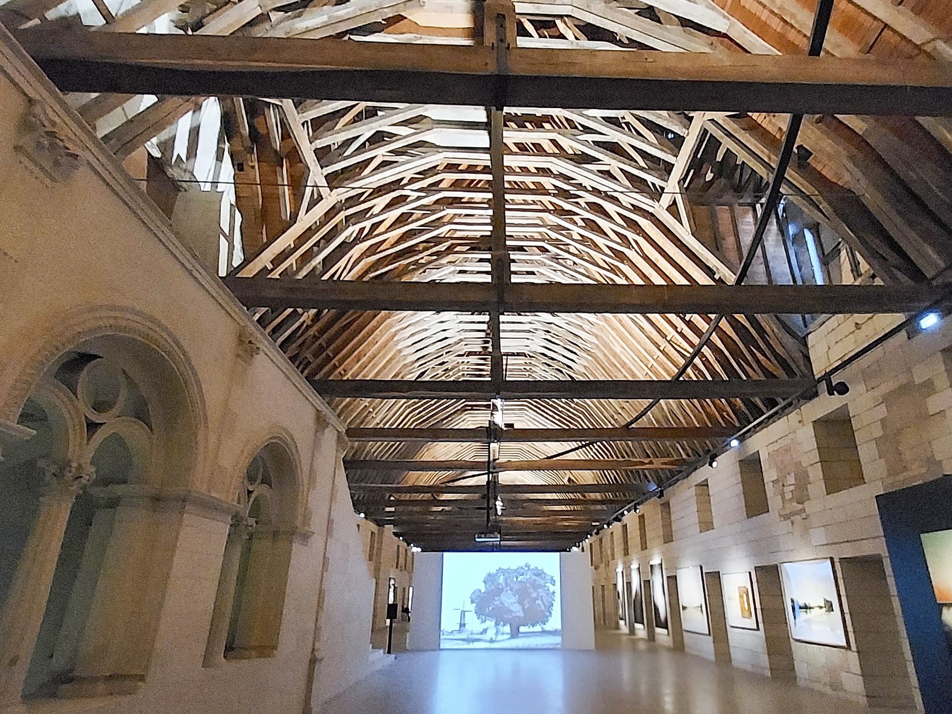 Dominique - Abbaye Royale de Fontevraud - bas dortoir