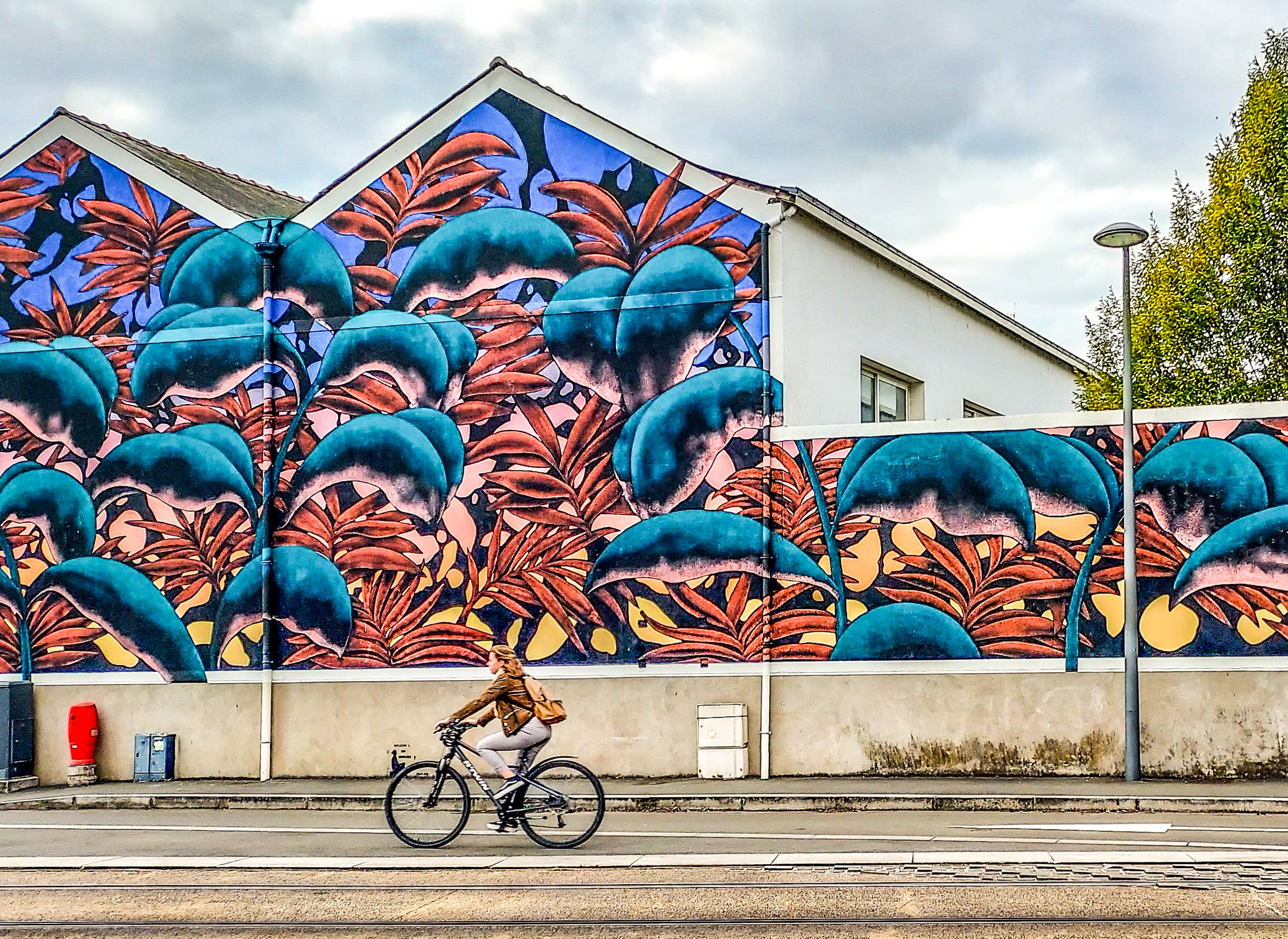 Dominique - Angers - Cycle de vie