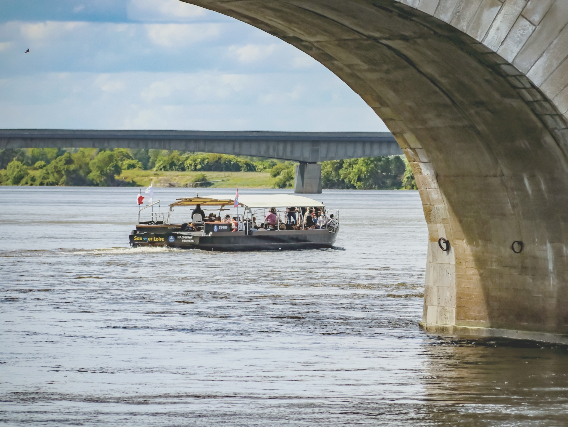 Dominique - Ponts_à_Saumur.