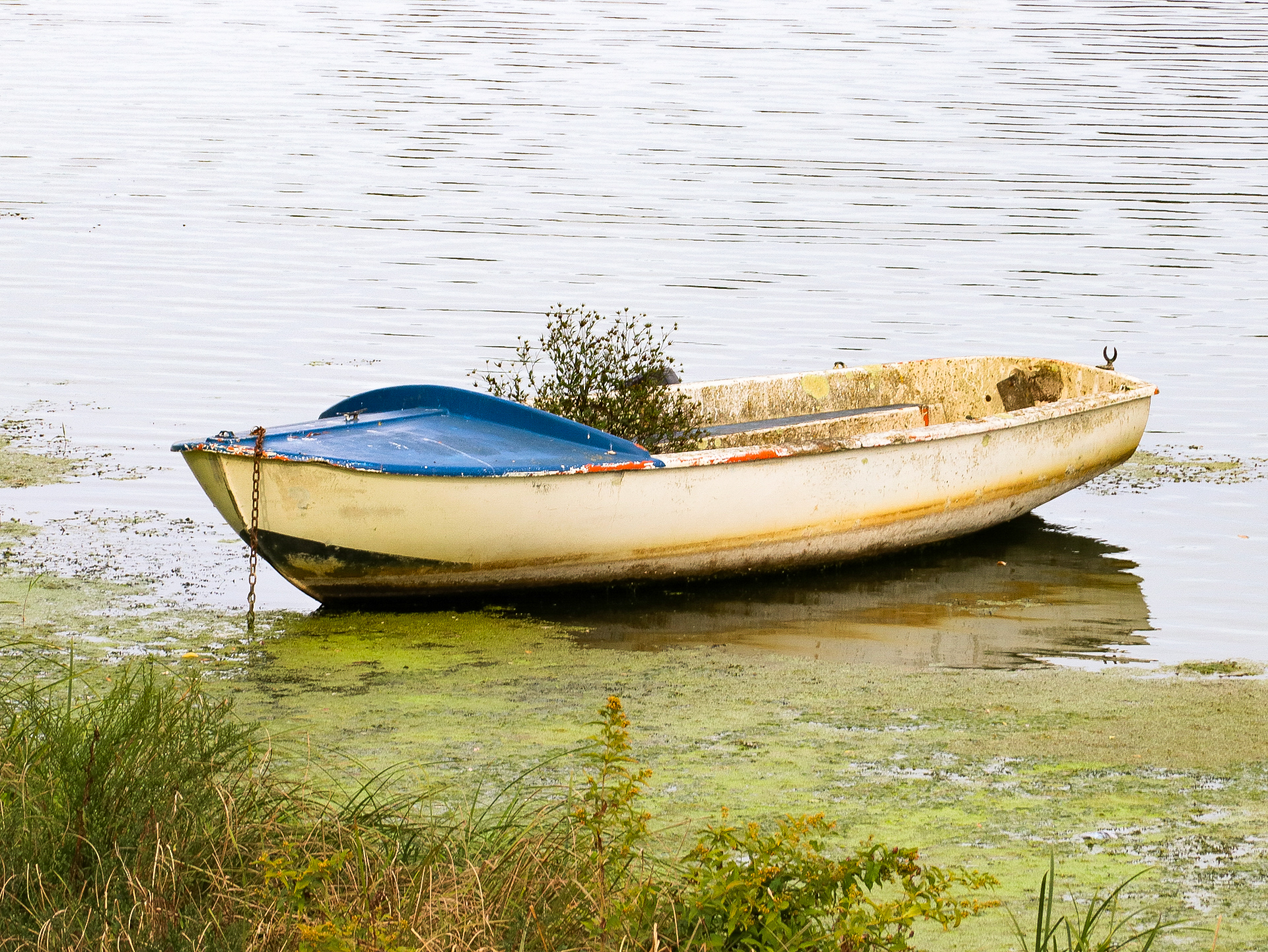 Dominique - entretien minimaliste