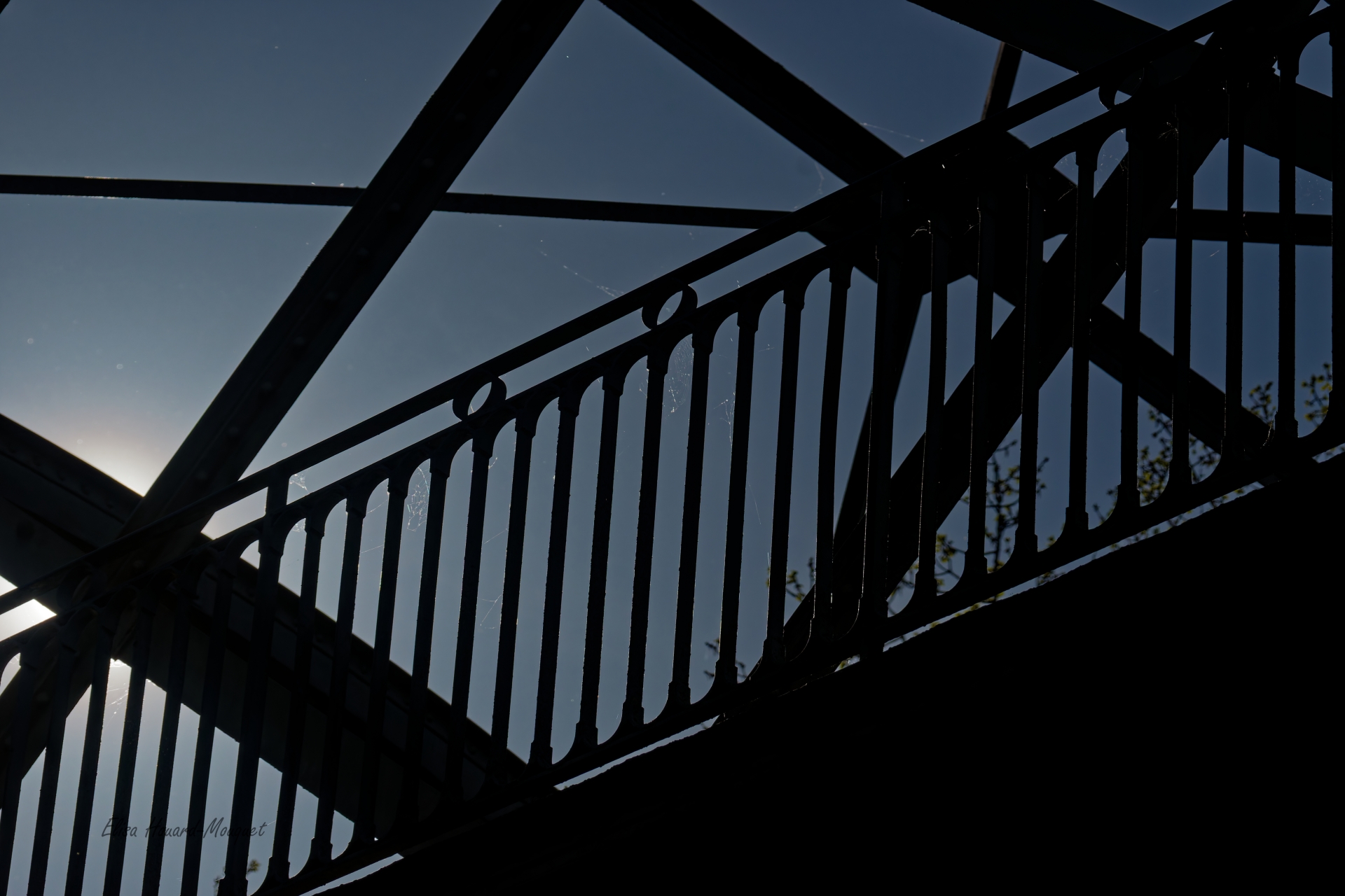 Elisa - Croisés sur le pont