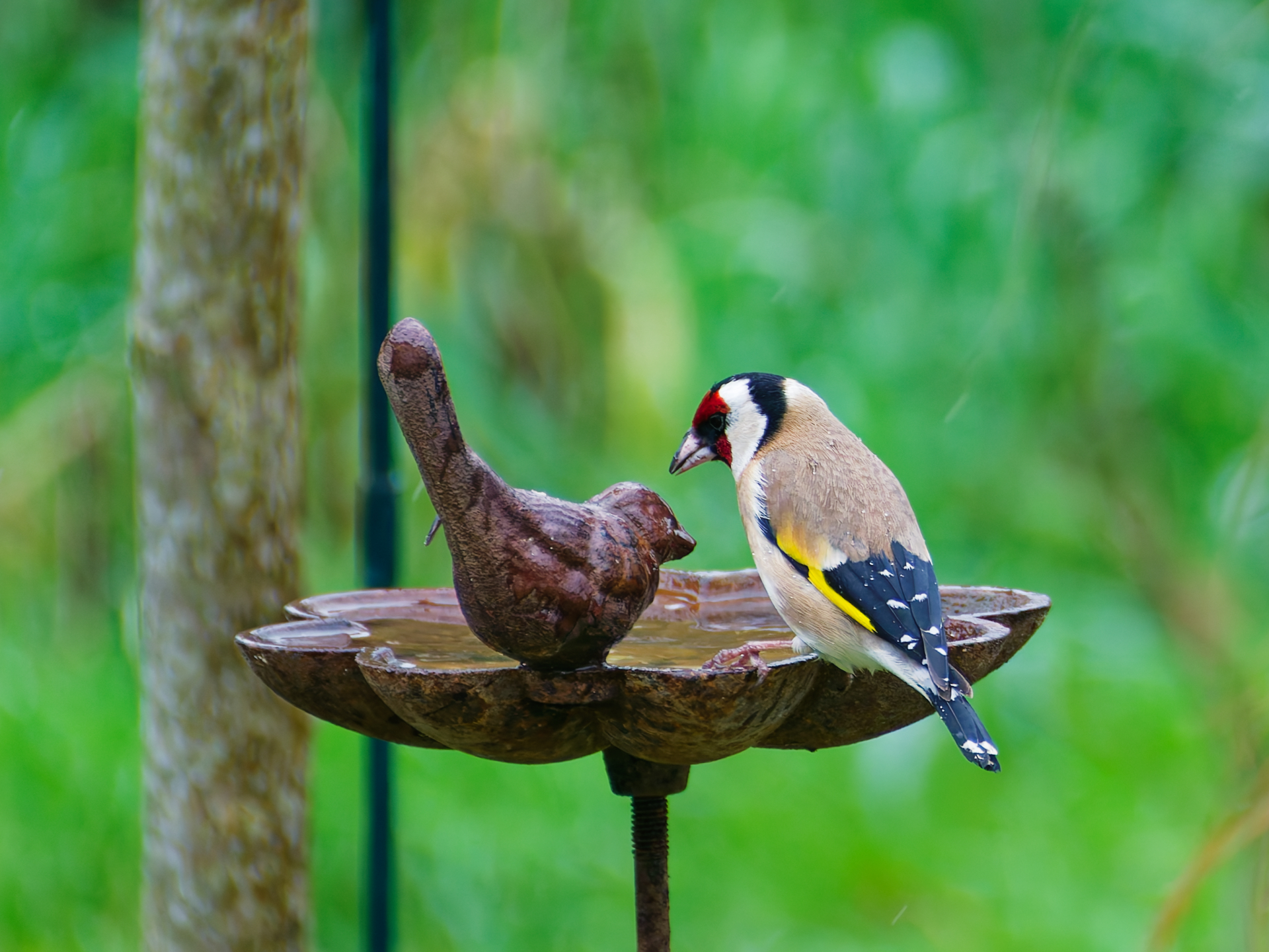 Elisa - La soupe est elle bonne