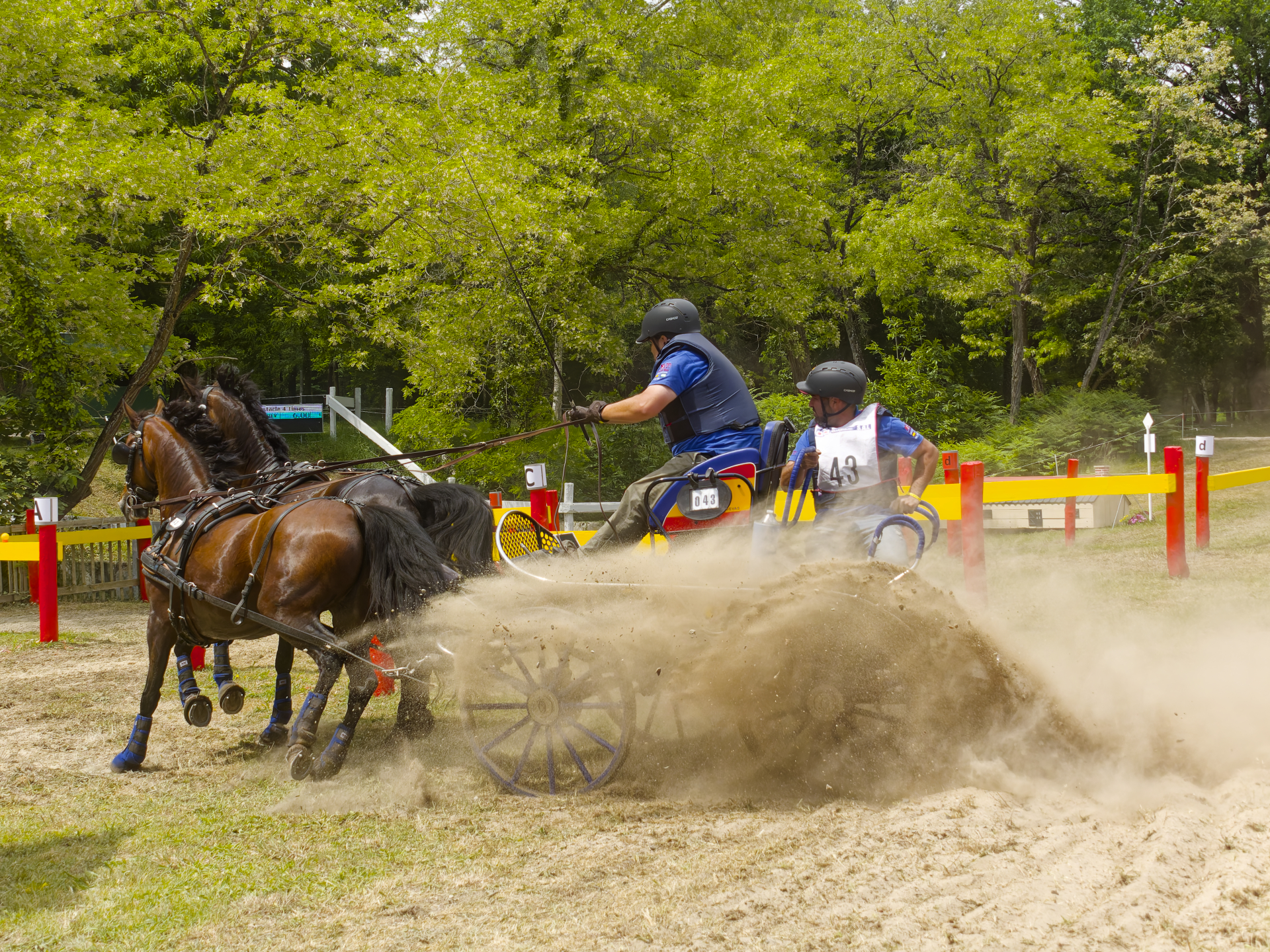 Elisa - On mord la poussière