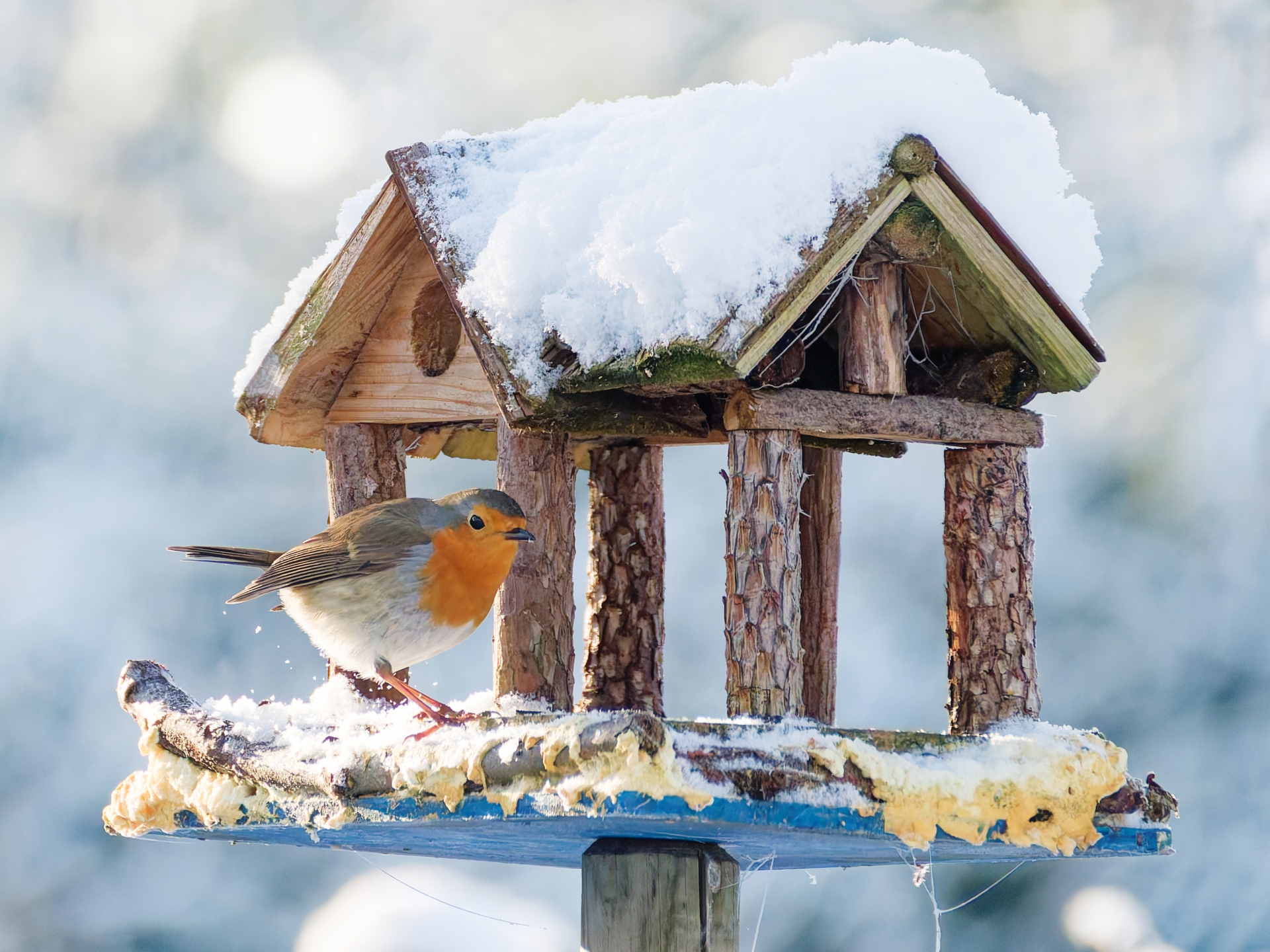 Elisa - Qu'as-t-en tu pour mettre des portes et fenêtres, ça caille.