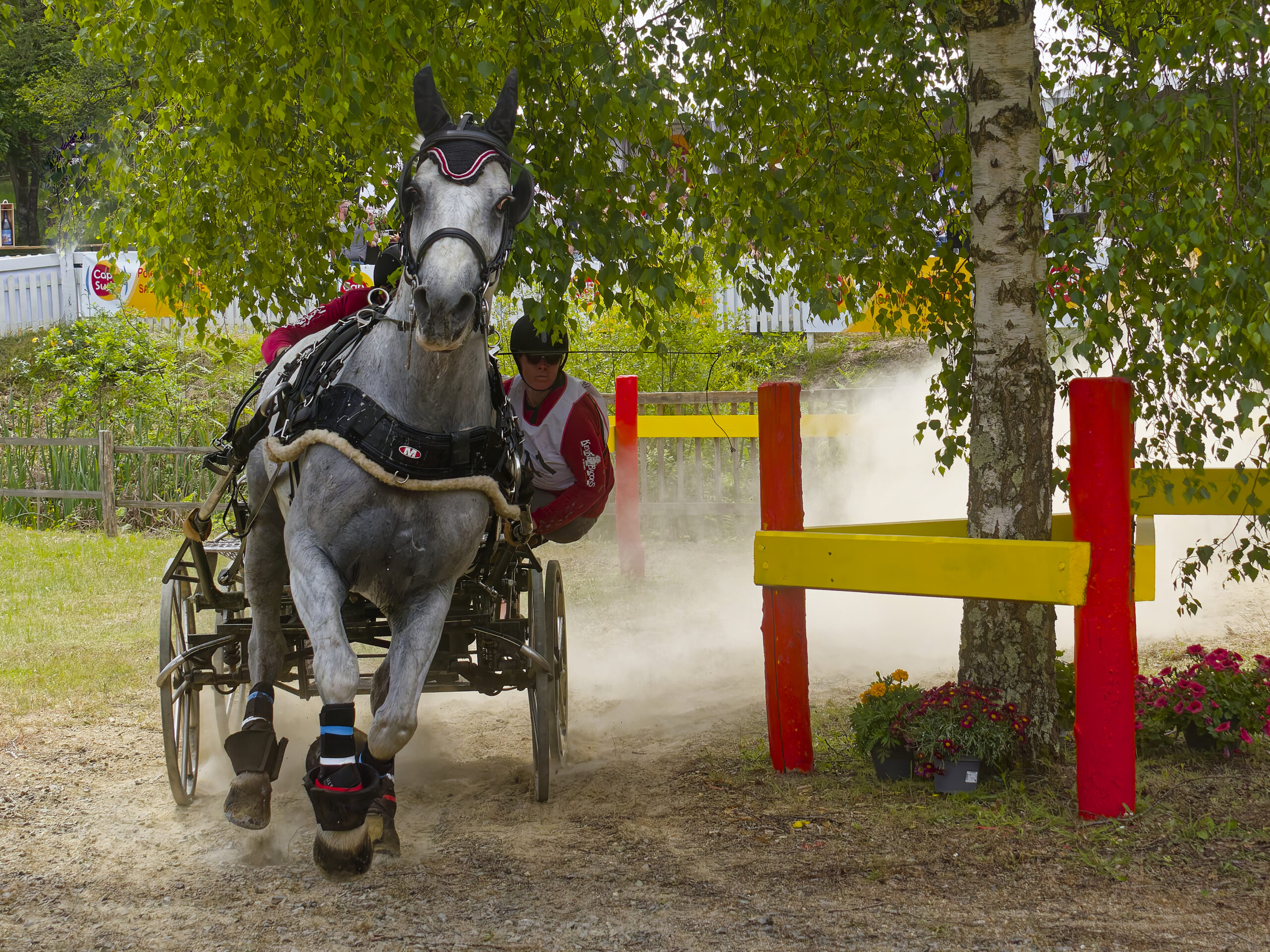 Elisa - concours d obstacles
