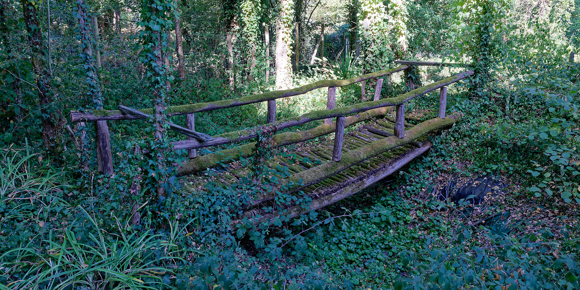 Gilles - petit pont de bois
