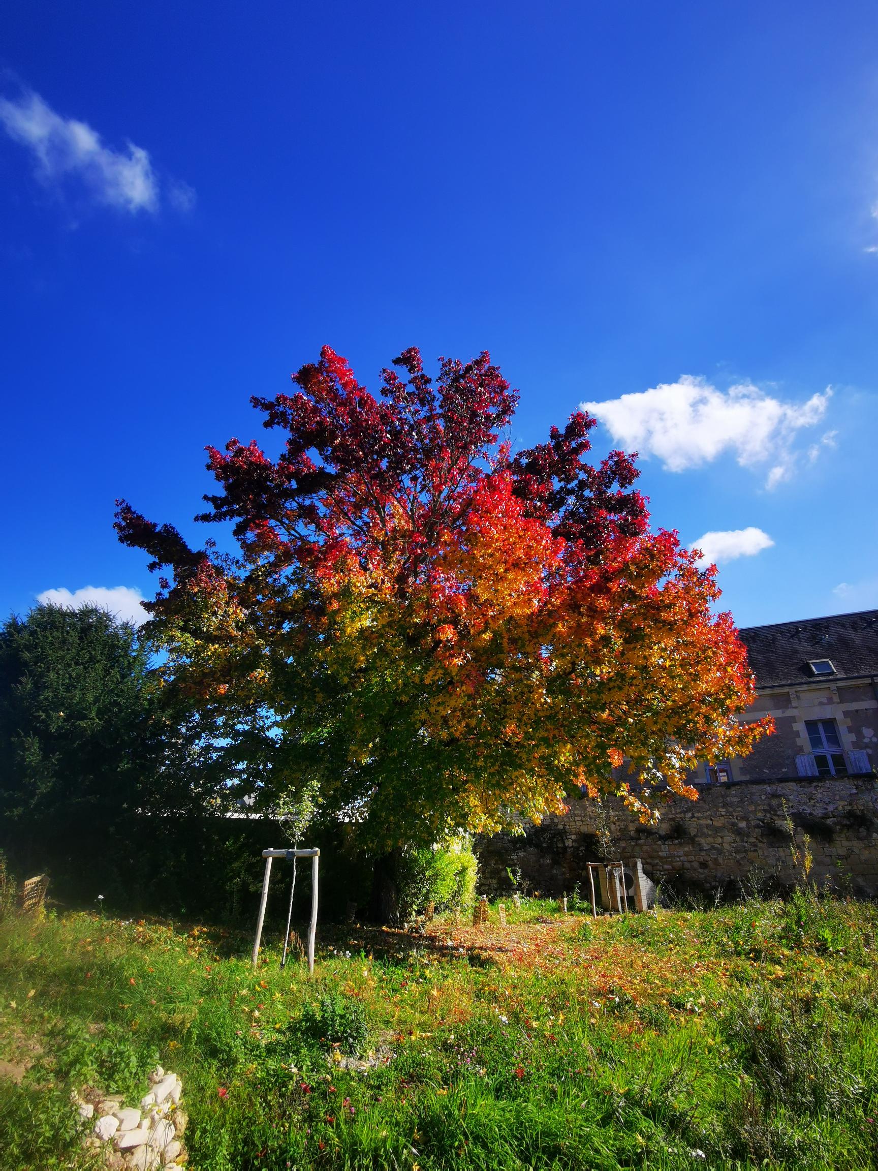 ALEXIA IMG_20251015_131512