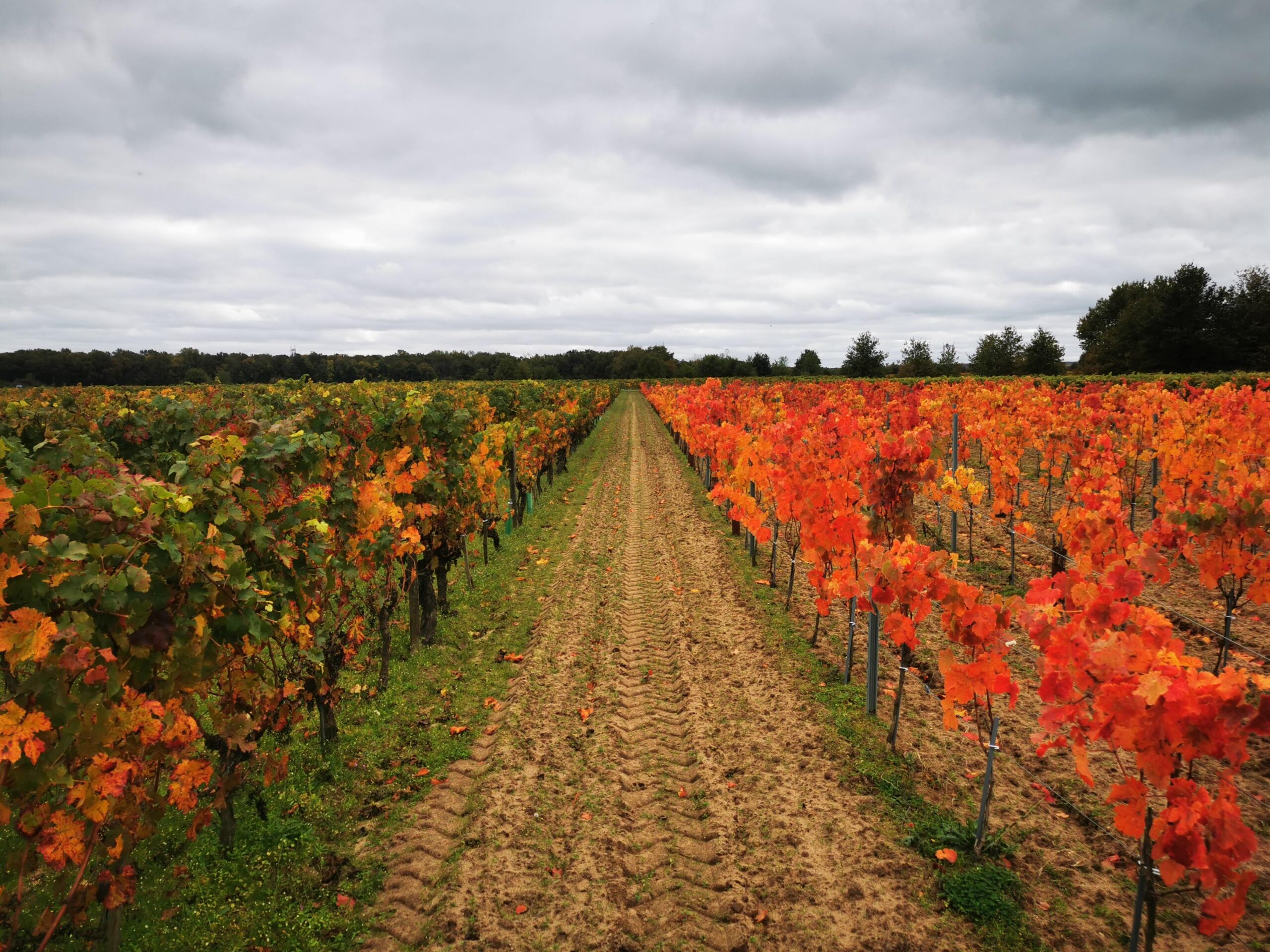 ALEXIA IMG_20251028_143918