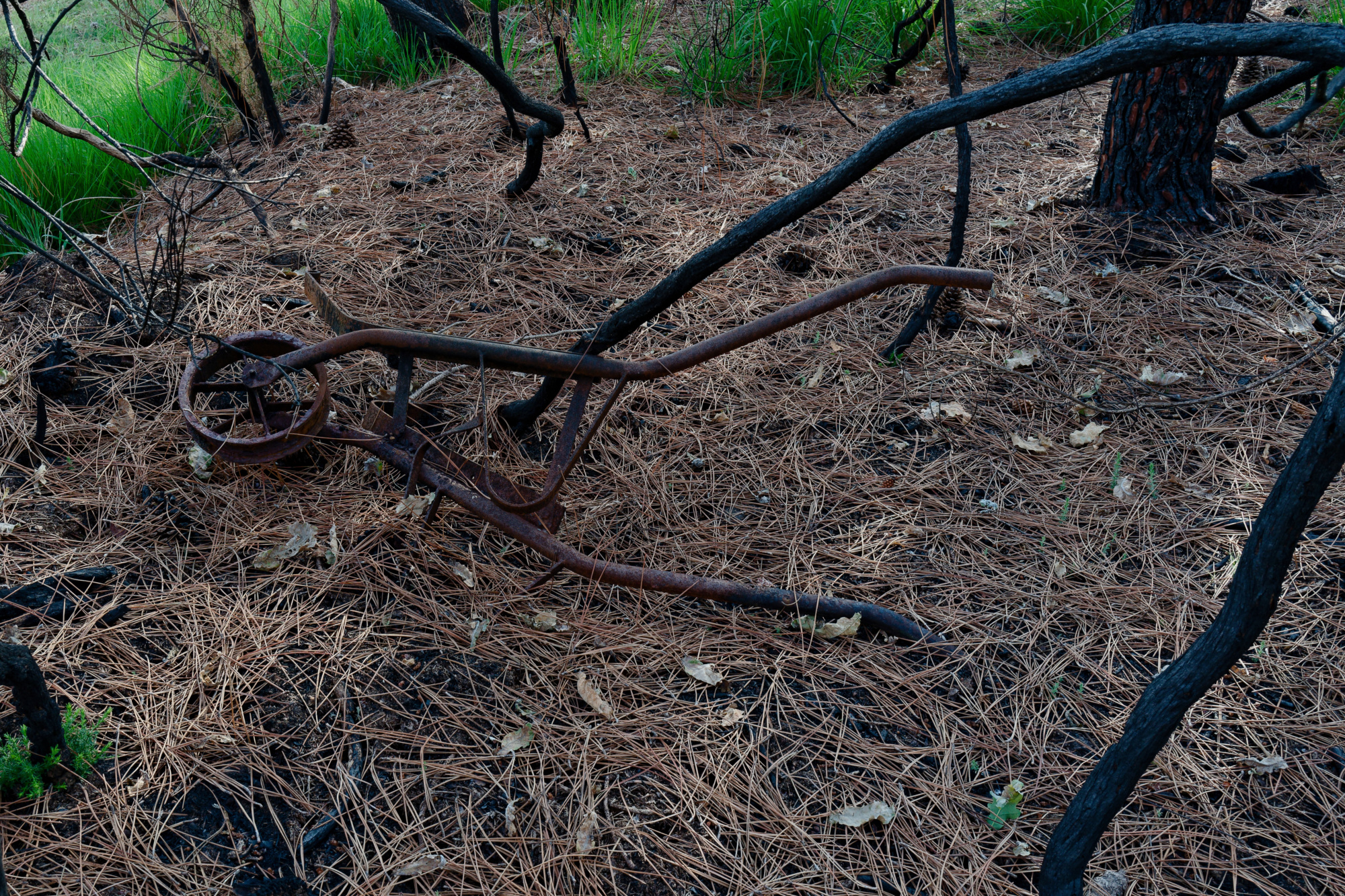 JACQUES - EPUISEMENT