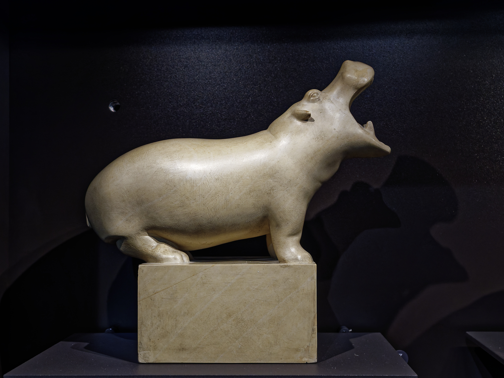 Joël - Hippopotaminimaliste