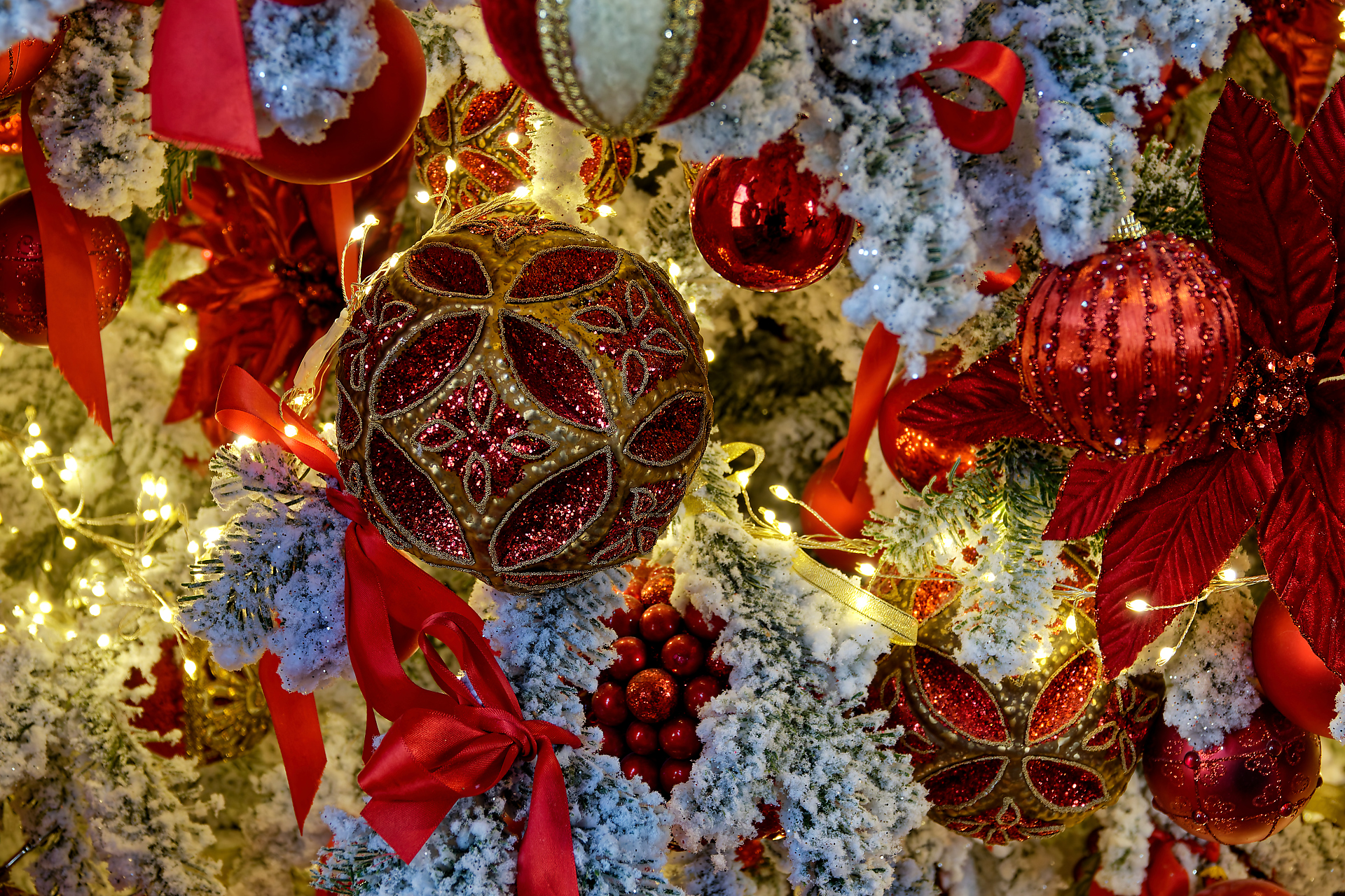 Joël - Noël 2025 à Chenonceaux (2)