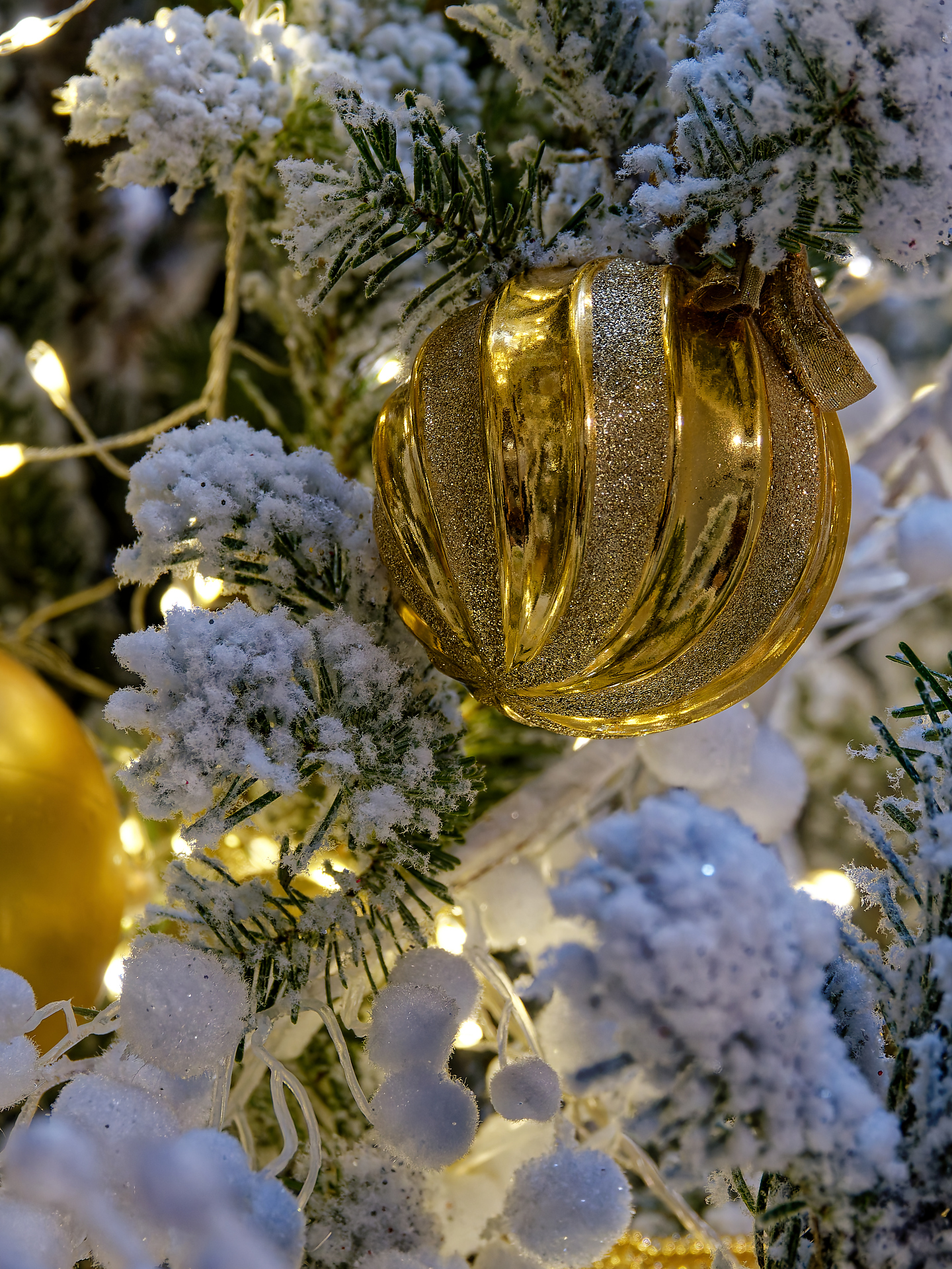 Joël - Noël 2025 à Chenonceaux (3)