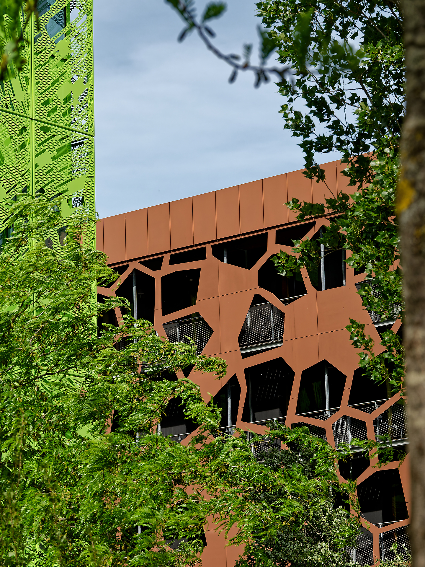 Joël - Polygones, quartier de la confluence ( Lyon )