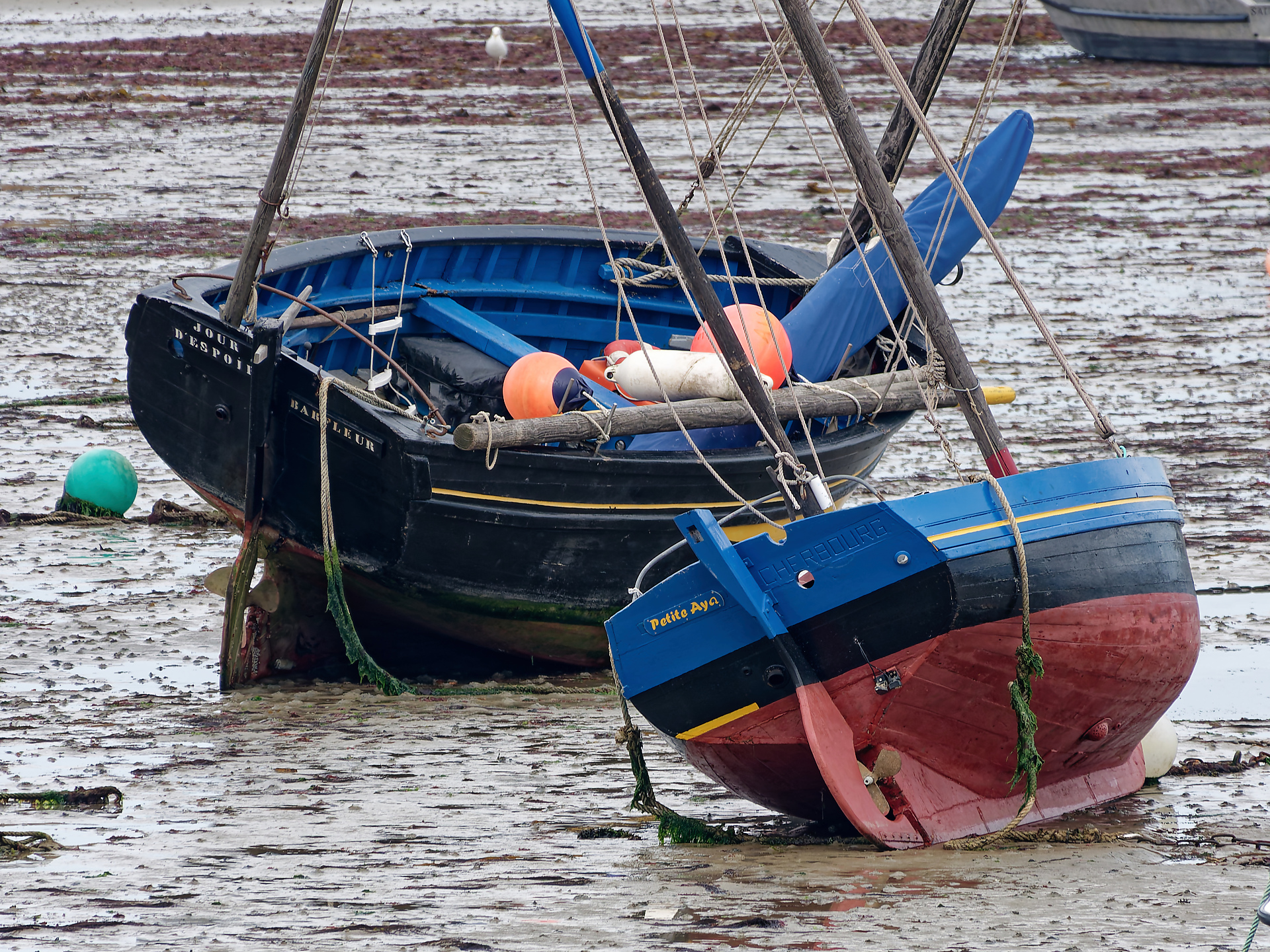 Joël - Port Baye (Cotentin) (7)
