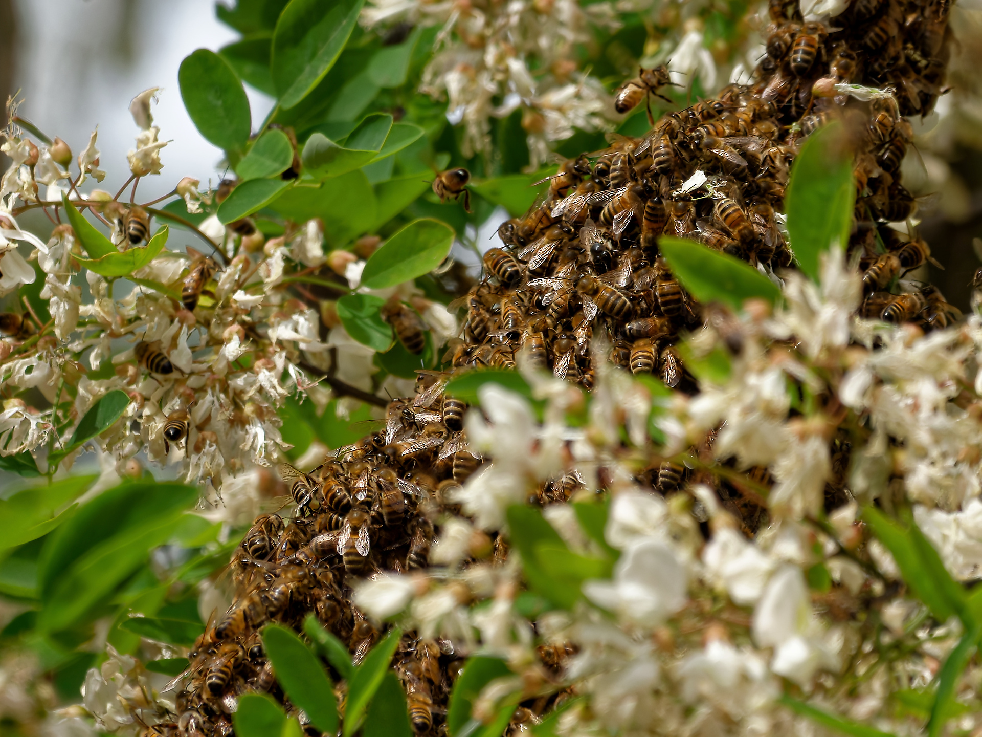 Joel _ en mouvements