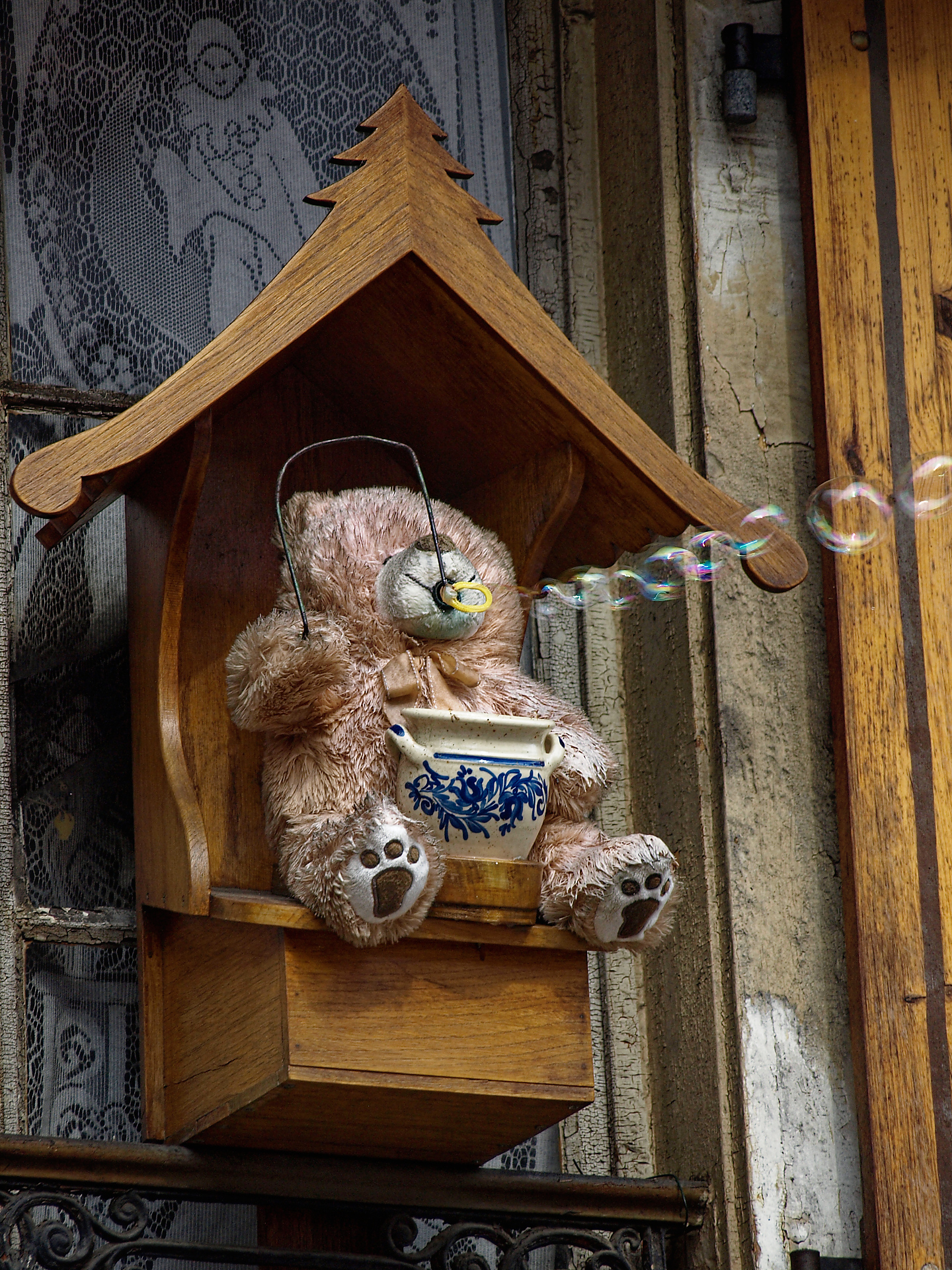 Joel--ours-qui-bulle