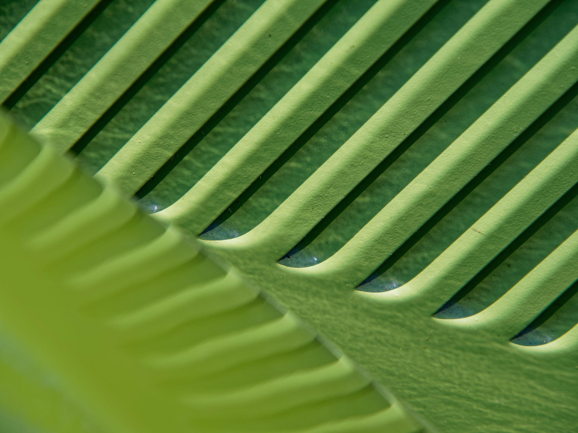 Joel-minimalisme-des-couleurs