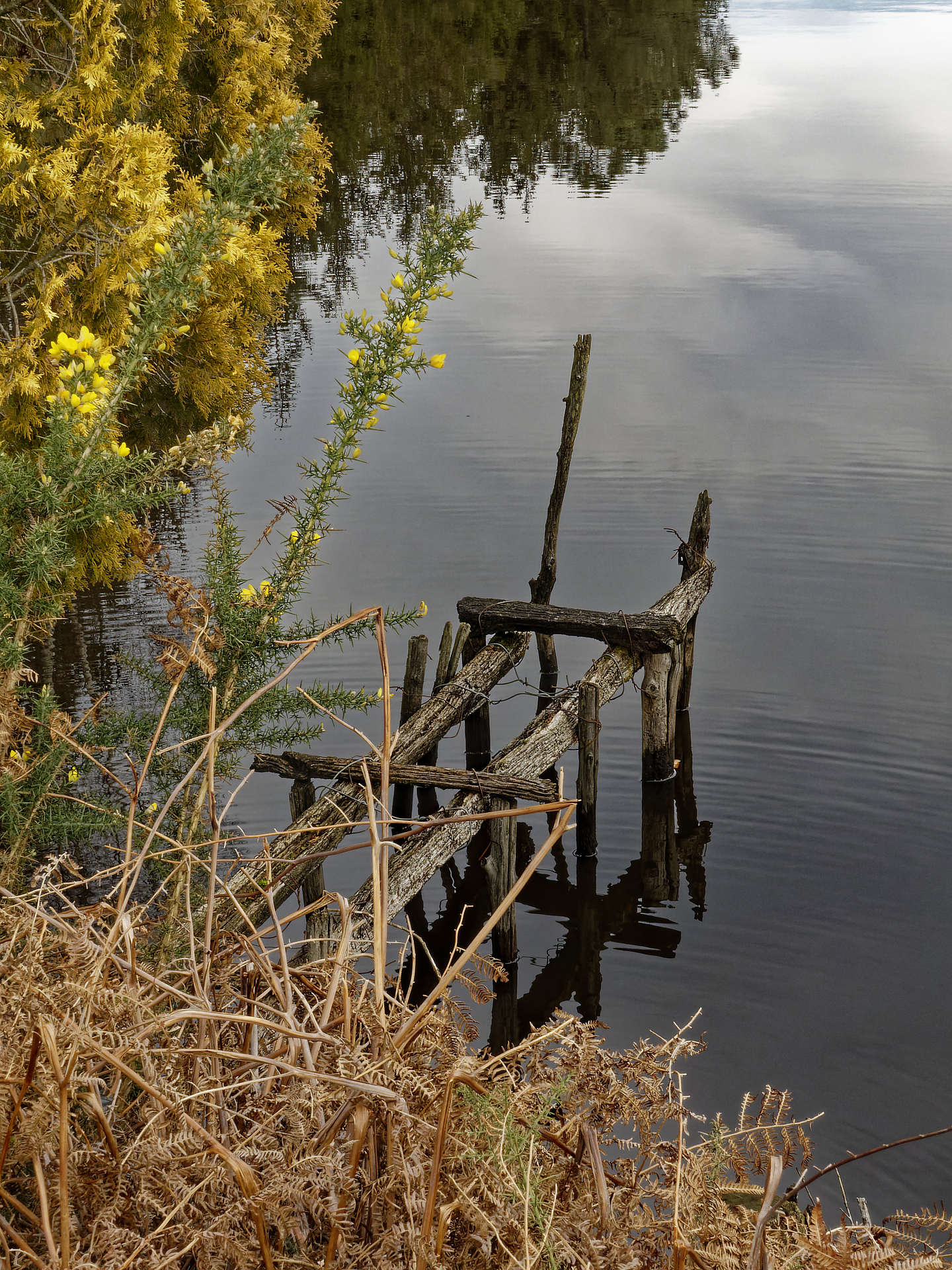 Joël - ponton minimaliste
