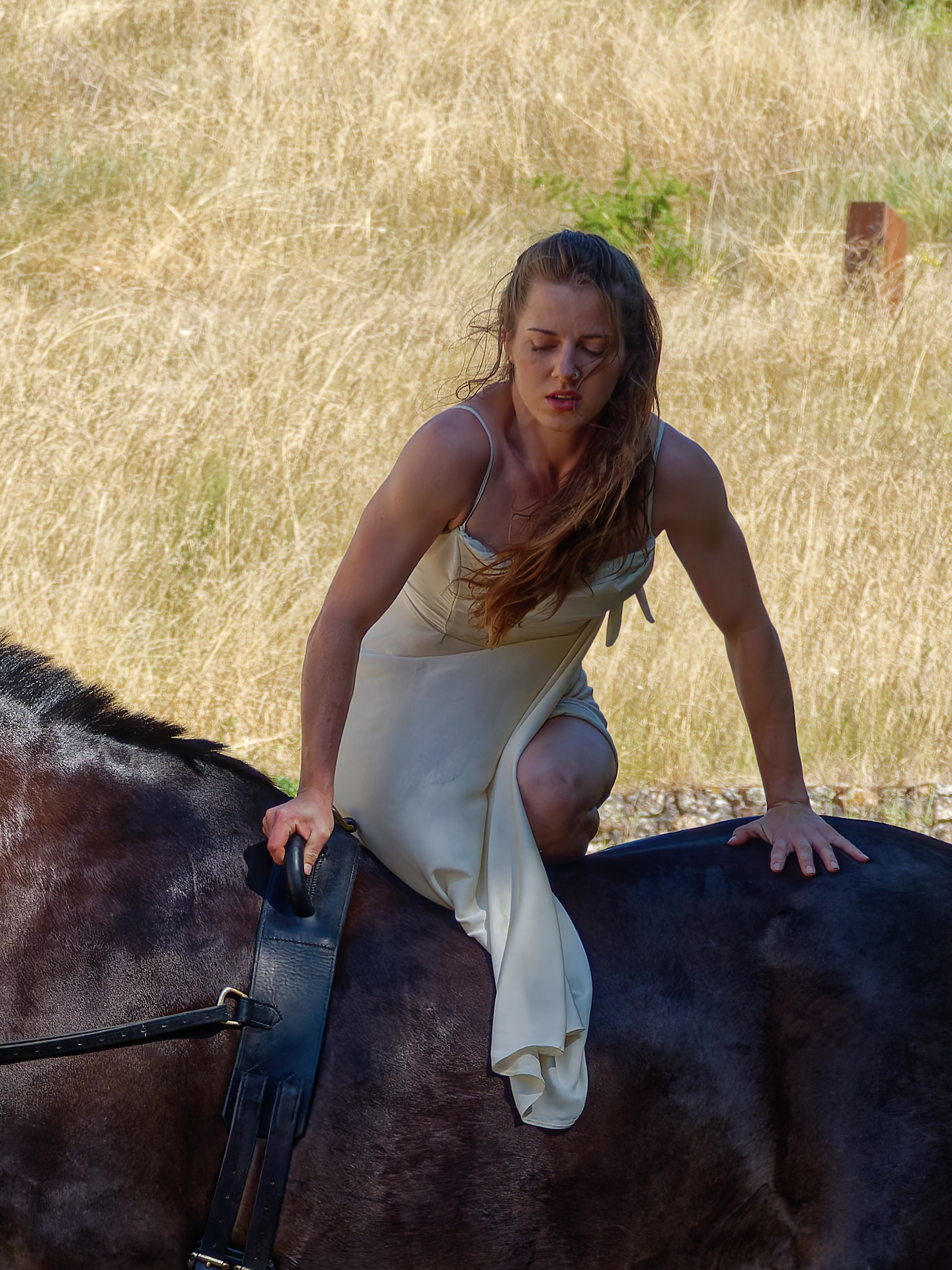 Joël - spectacle équestre à Fontevraud (1)
