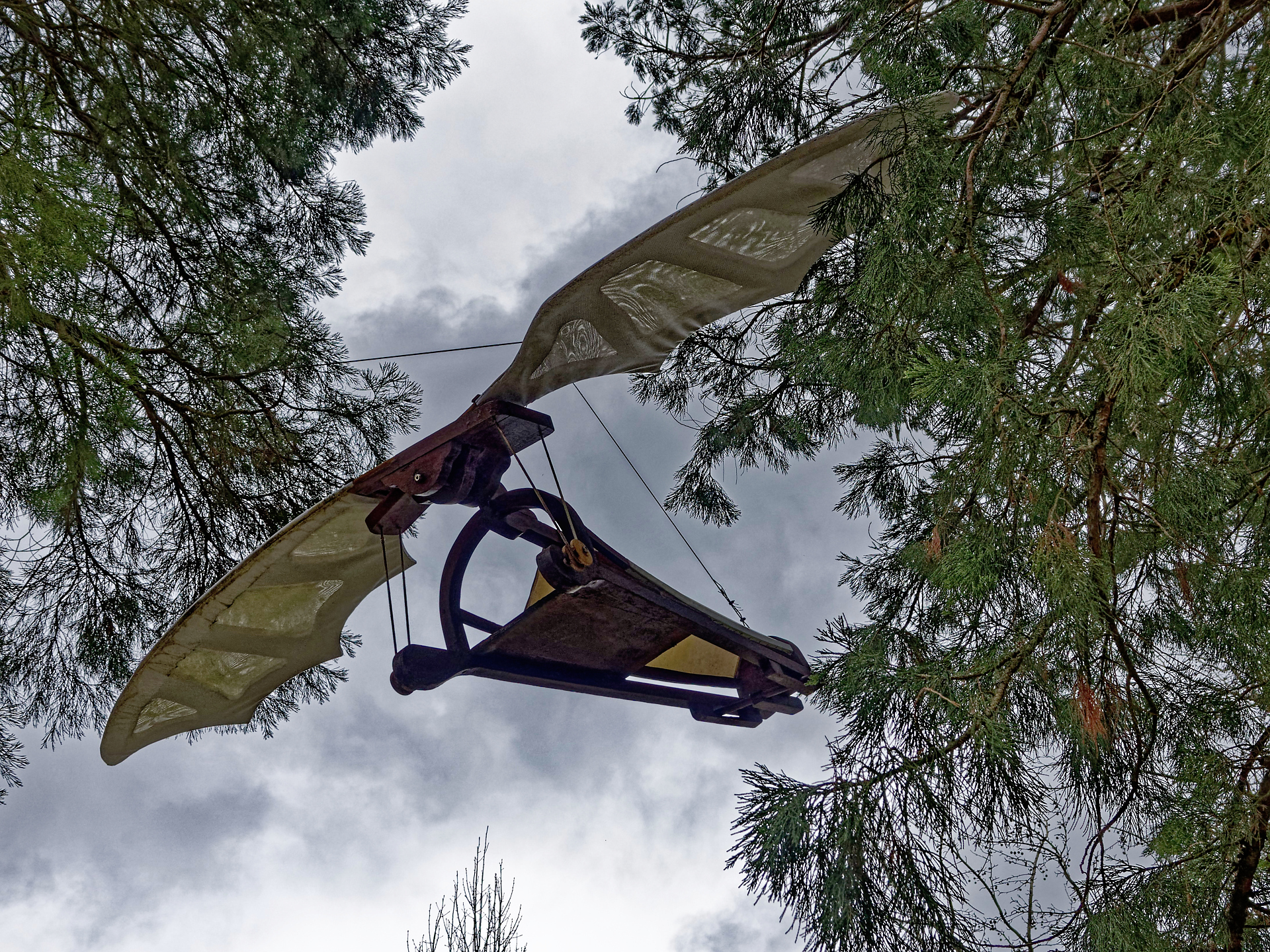 Joël__comme_l_oiseau_