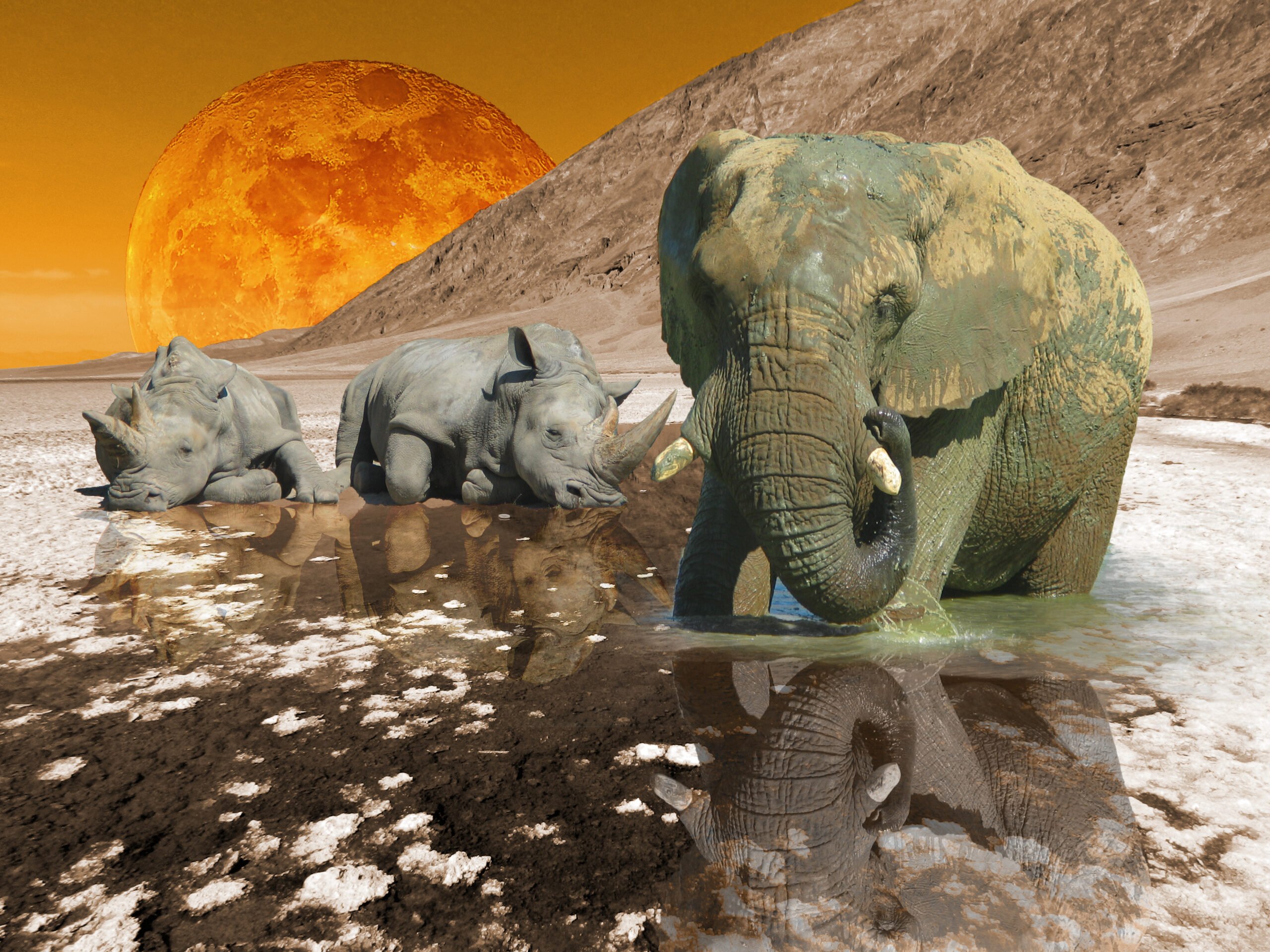 Joel_ode_a_la_lune_4
