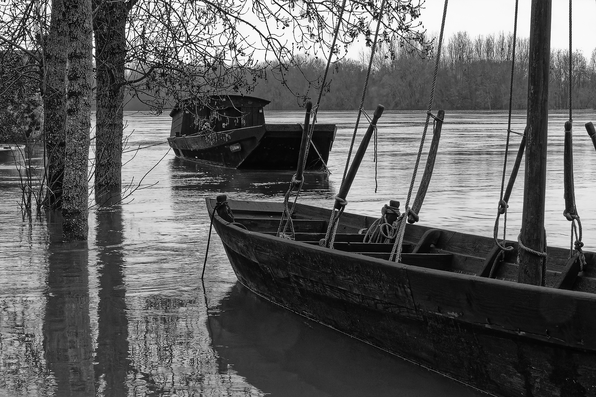 Joël_toues_sur_Loire_