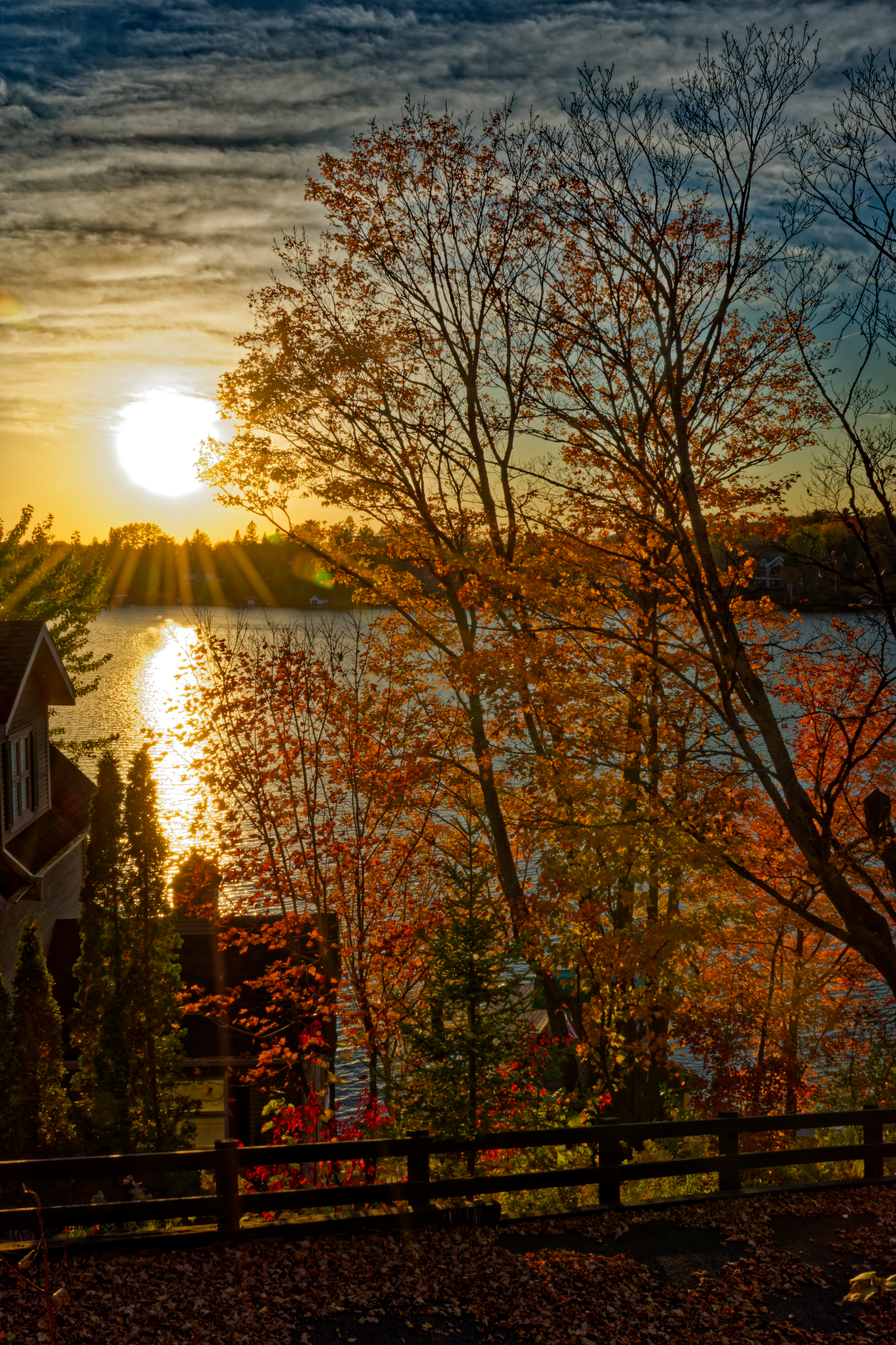 SERGE - LE CYCLE D UNE JOURNEE
