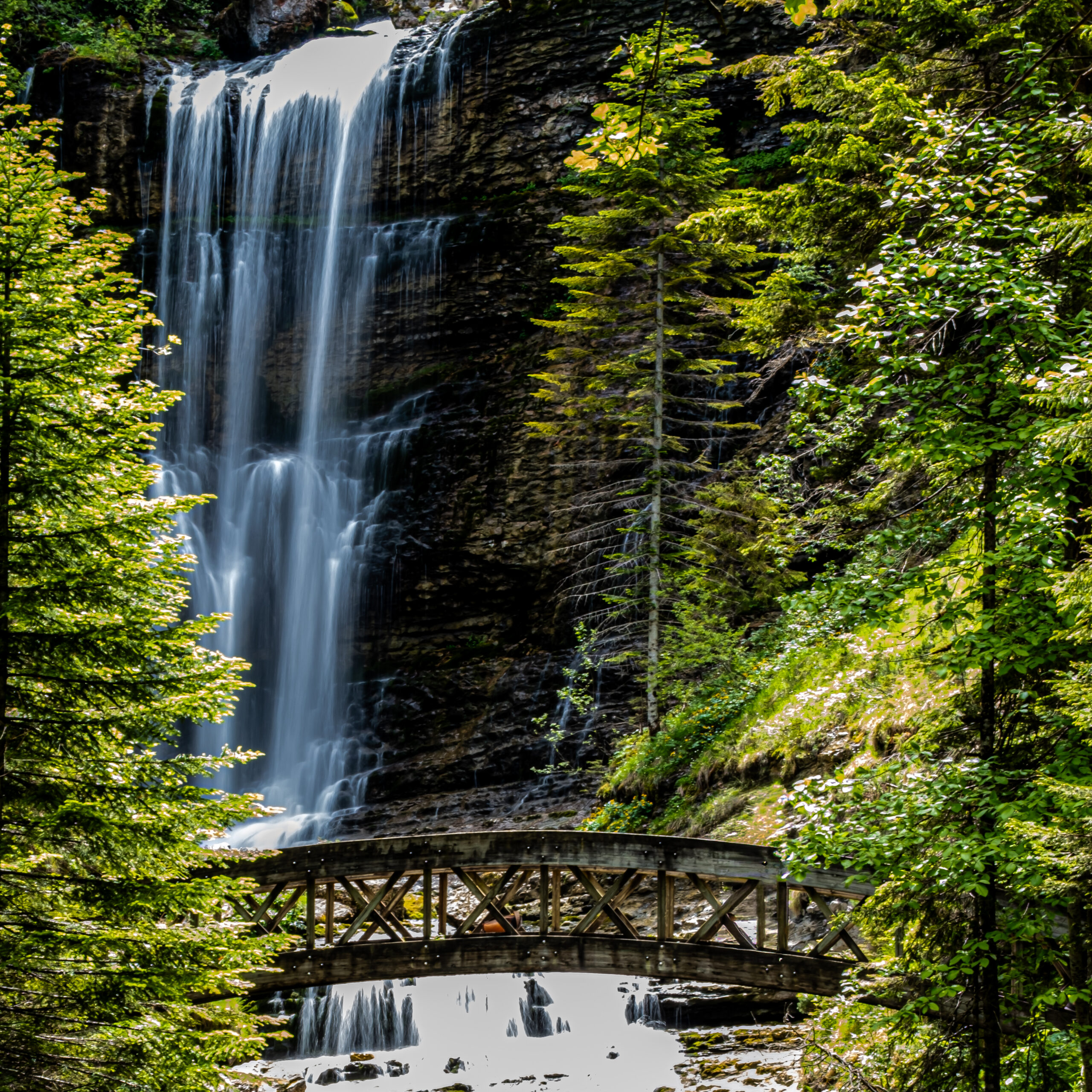 Marveen - Cirque de saint même