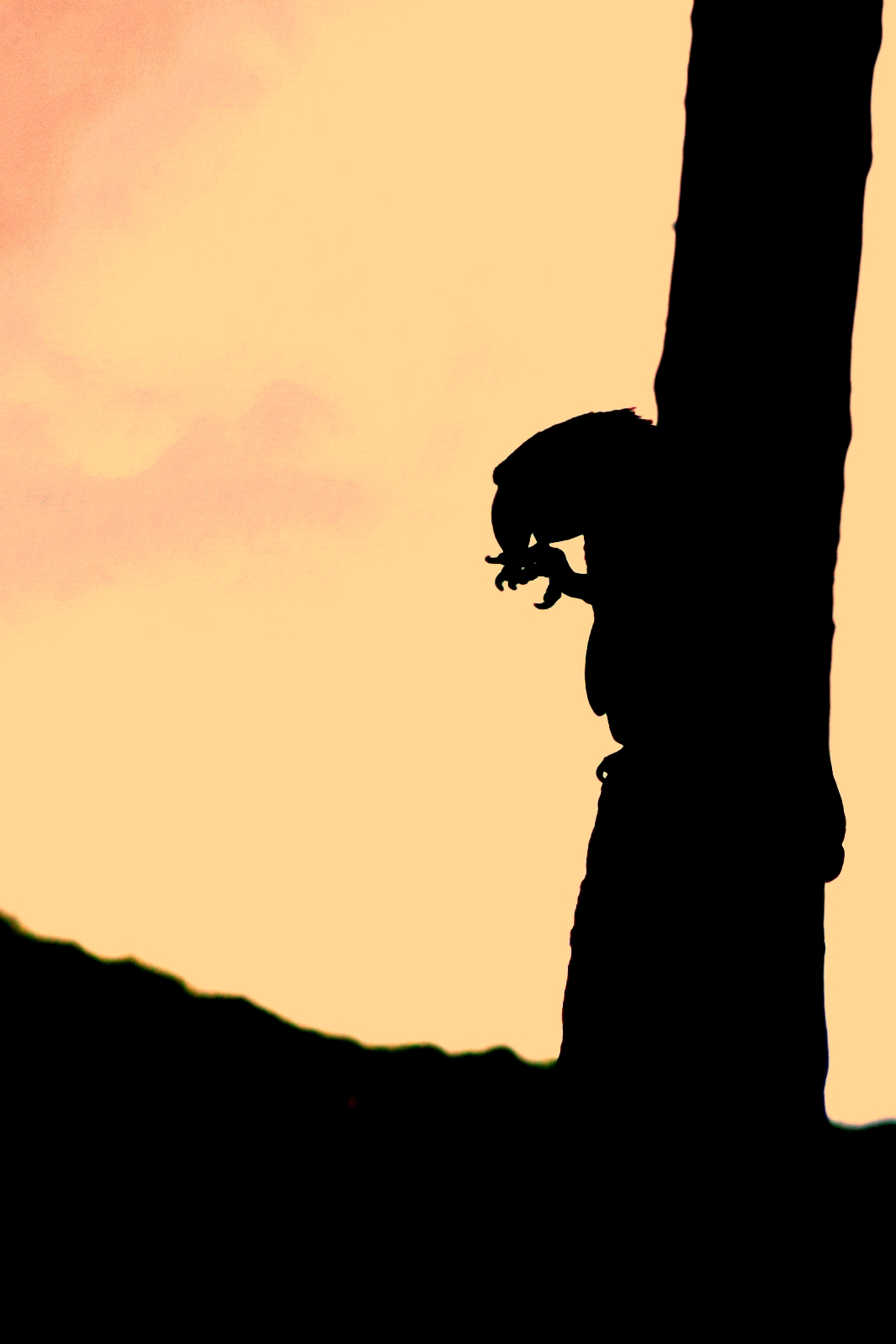 Marveen - Contre jour bec et ongles