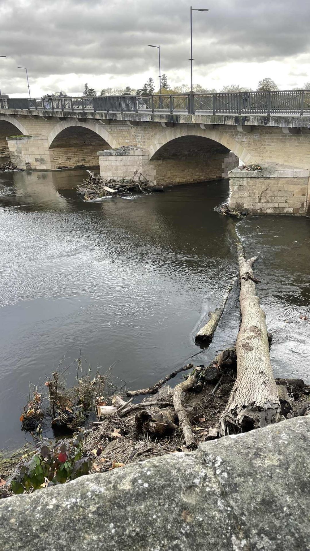 Patricia Chinon Nov 2023